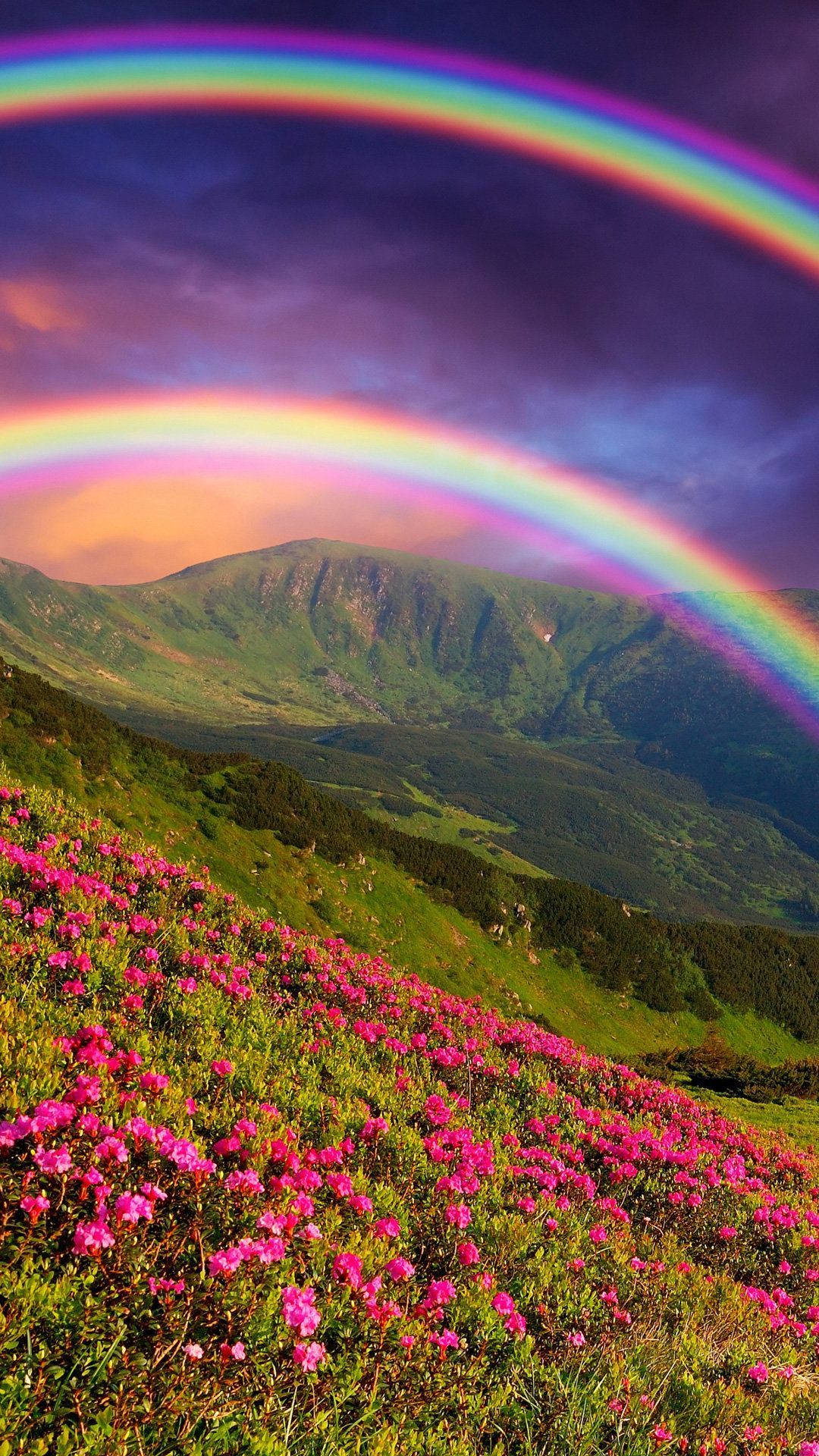 Rainbow in the Mountains Mobile Wallpaper