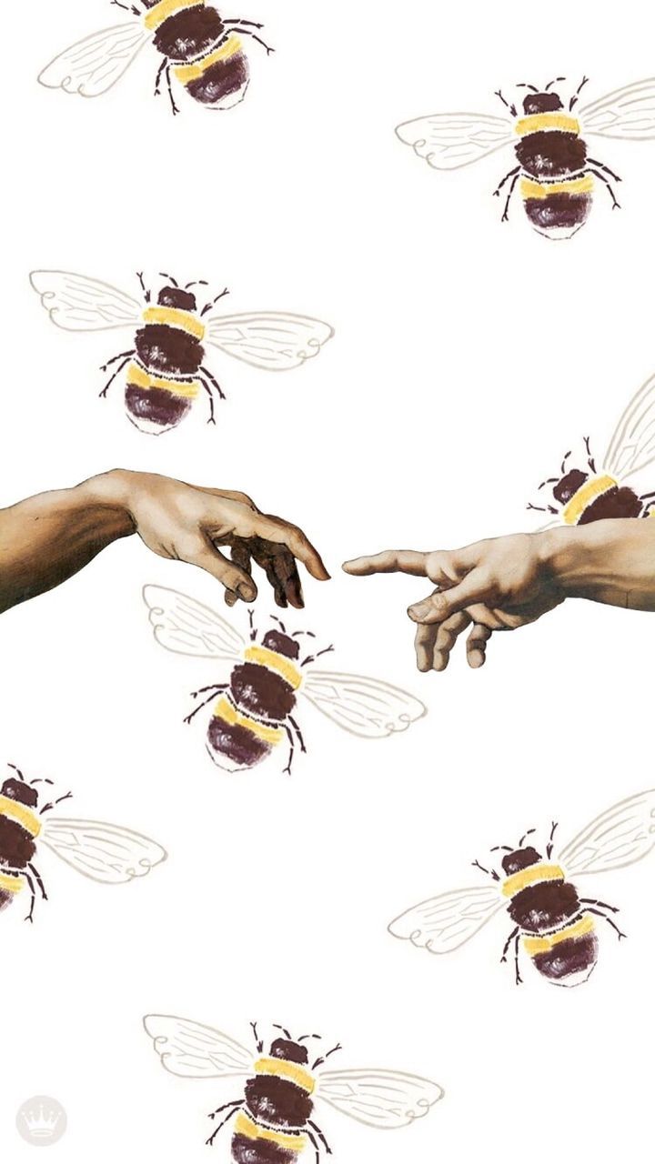 Aesthetic Bee Wallpaper Free Aesthetic Bee Background
