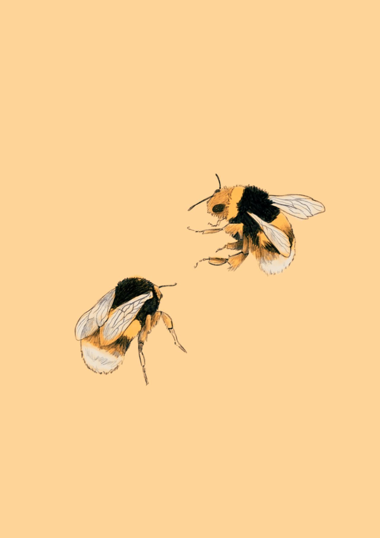 Bee Art Wallpaper Free Bee Art Background