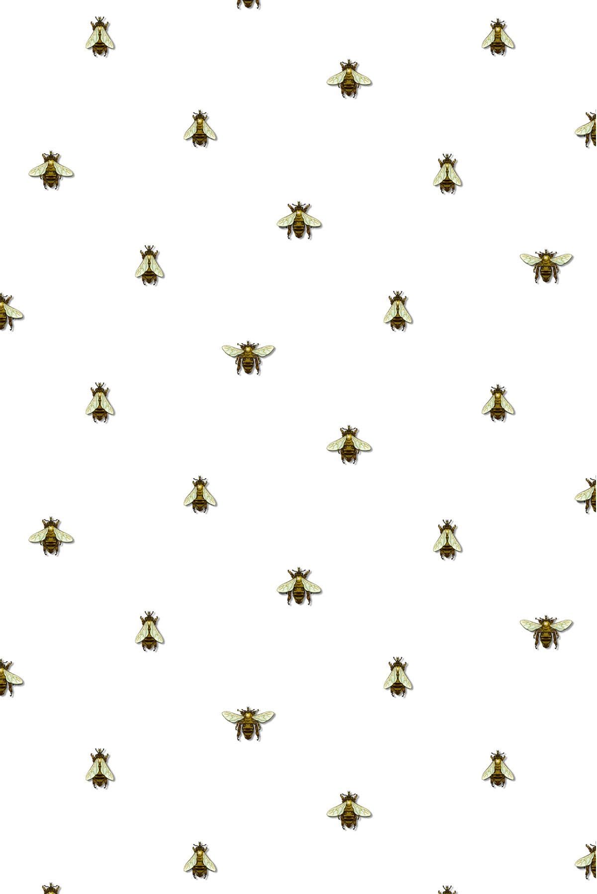Bee happy HD wallpapers  Pxfuel