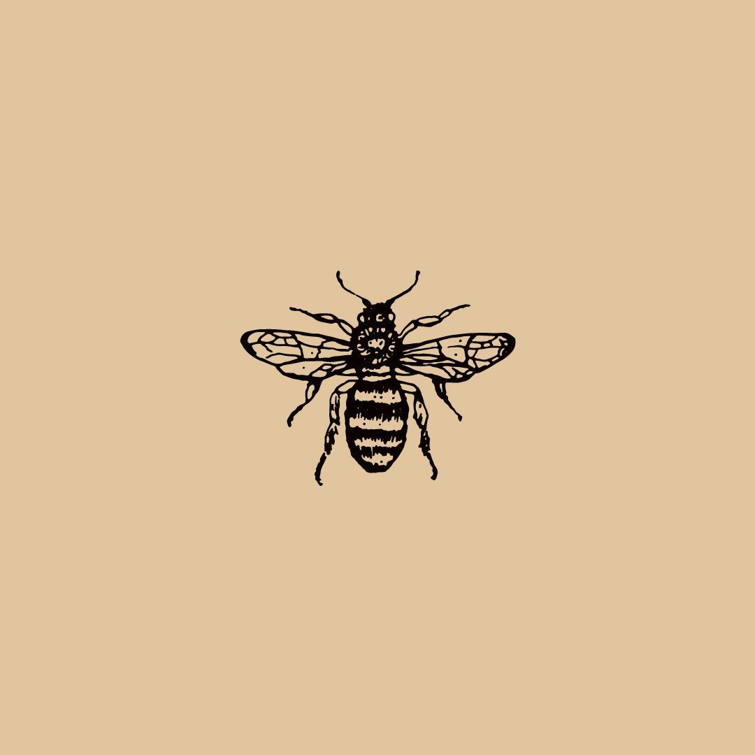 Bee Illustration//Icon//Design//Branding//Braizen #branding. Bee illustration, Bee drawing, Bee tattoo
