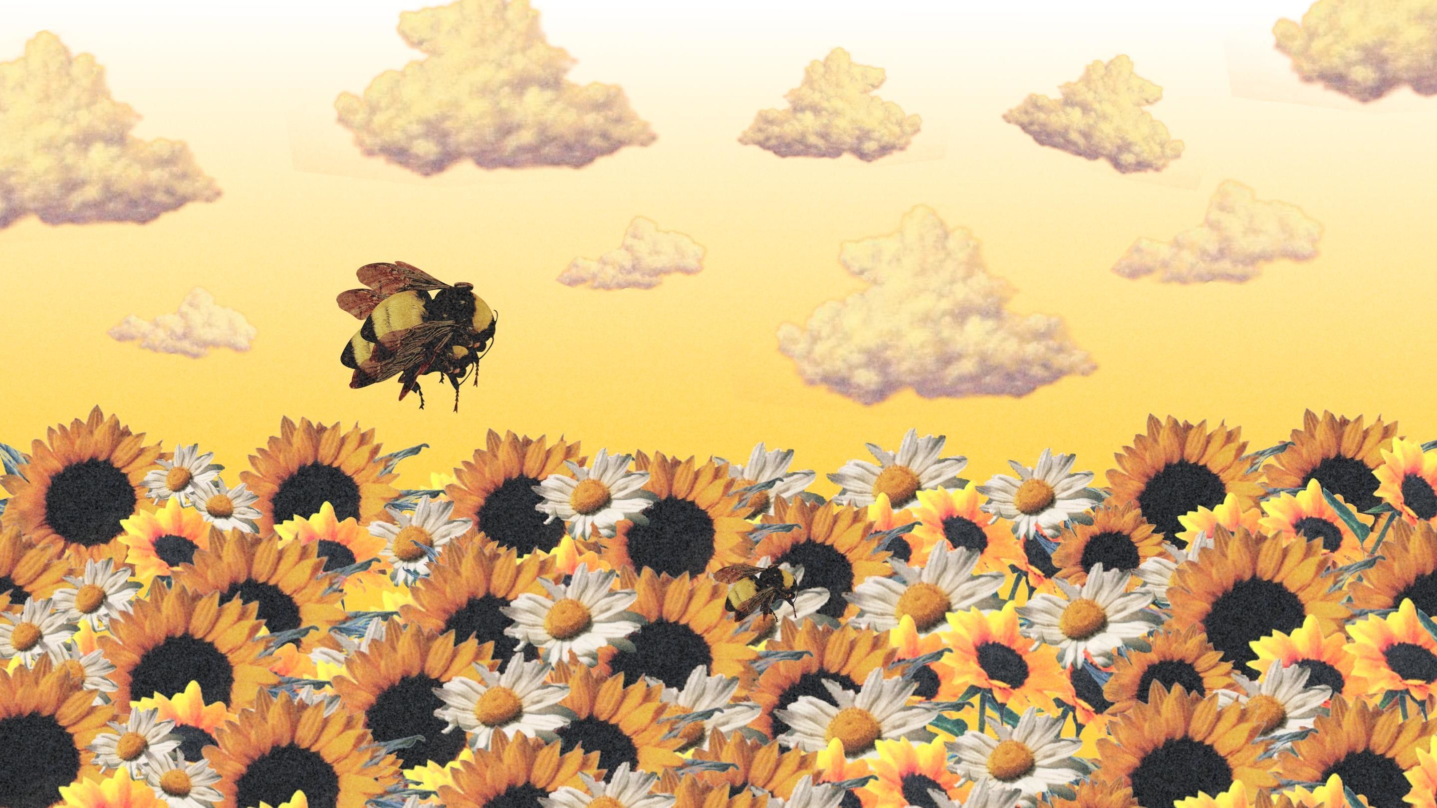 Download Sunflower And Bee Orange Background Wallpaper  Wallpaperscom