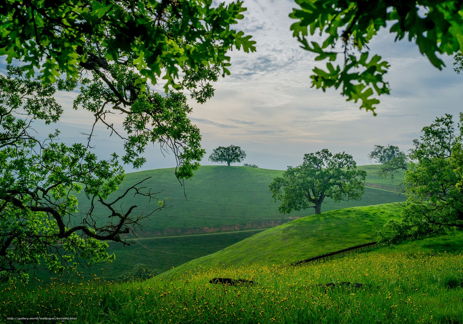 santa-clara-wallpapers-wallpaper-cave