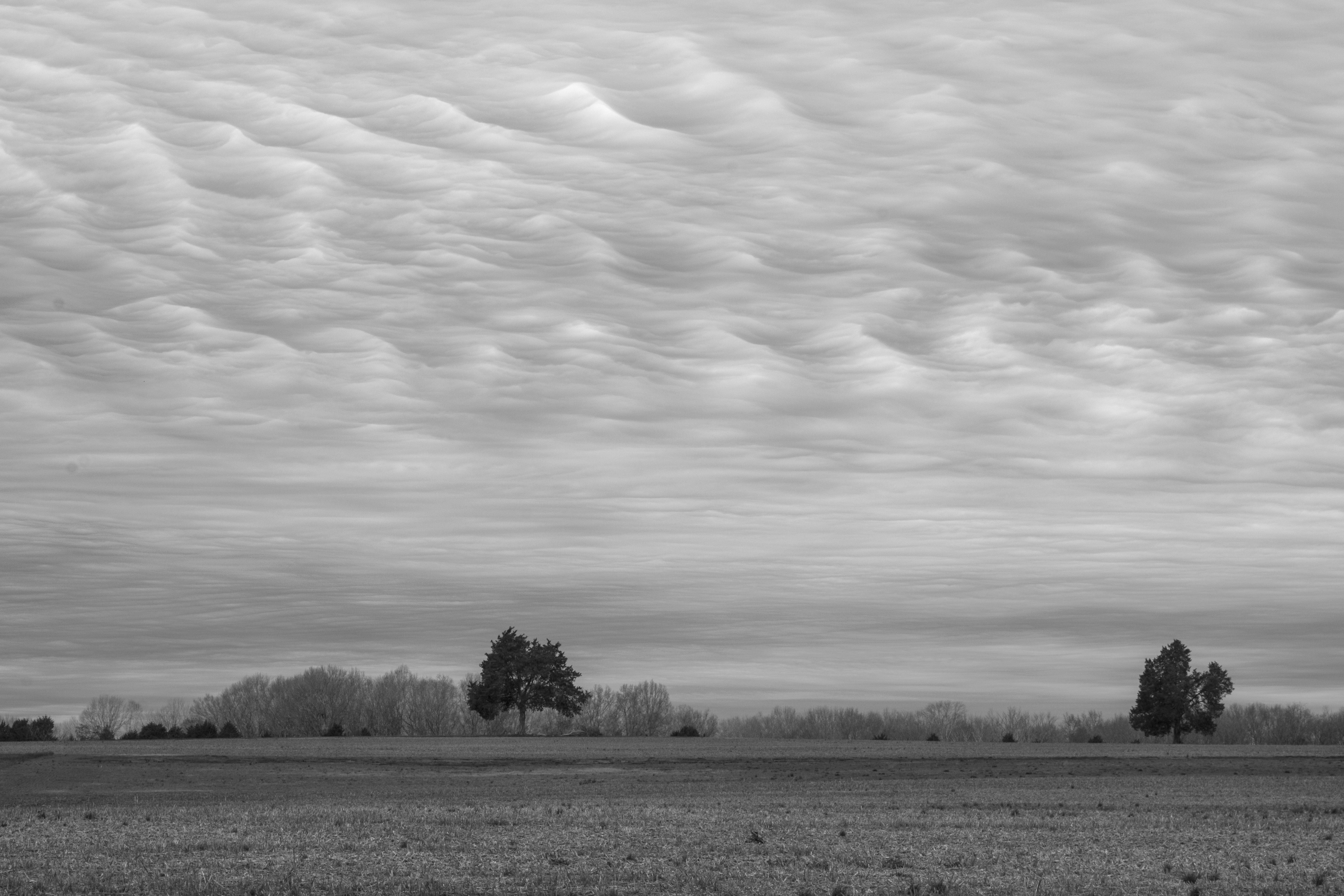 Wallpaper, clouds, blackandwhite, monotone, minimal, minimalism, landscape, farm 6000x4000