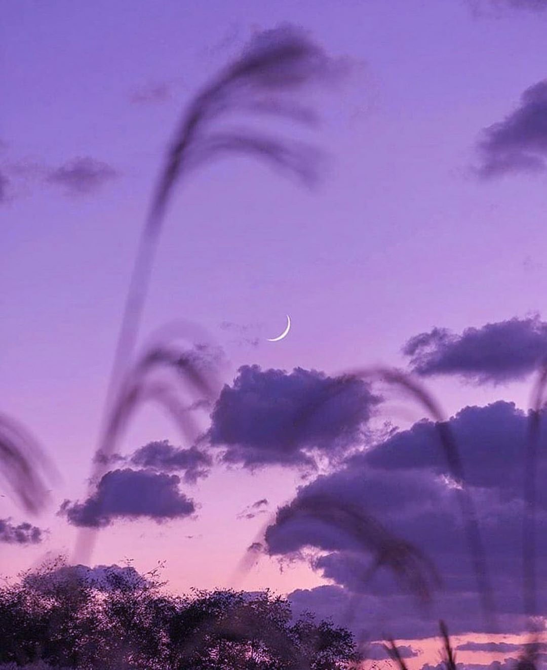 Photo by lofi aesthetics. ✨ in Paradise Vibe. Image may contain: sky, cloud, outdoor and nature. Asthetic sky, Aesthetic sky, Purple aesthetic