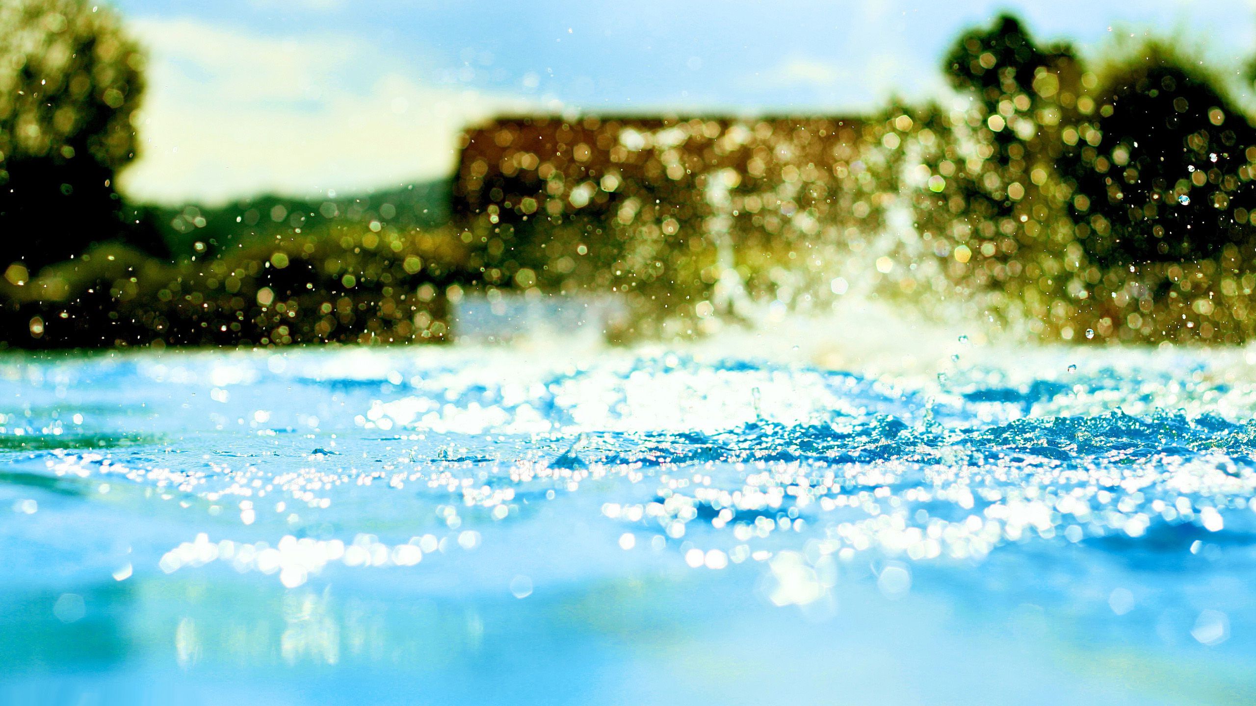Summertime Picture wallpaperx1440