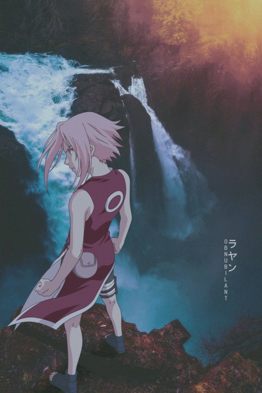 Sakura Haruno HD Wallpaper