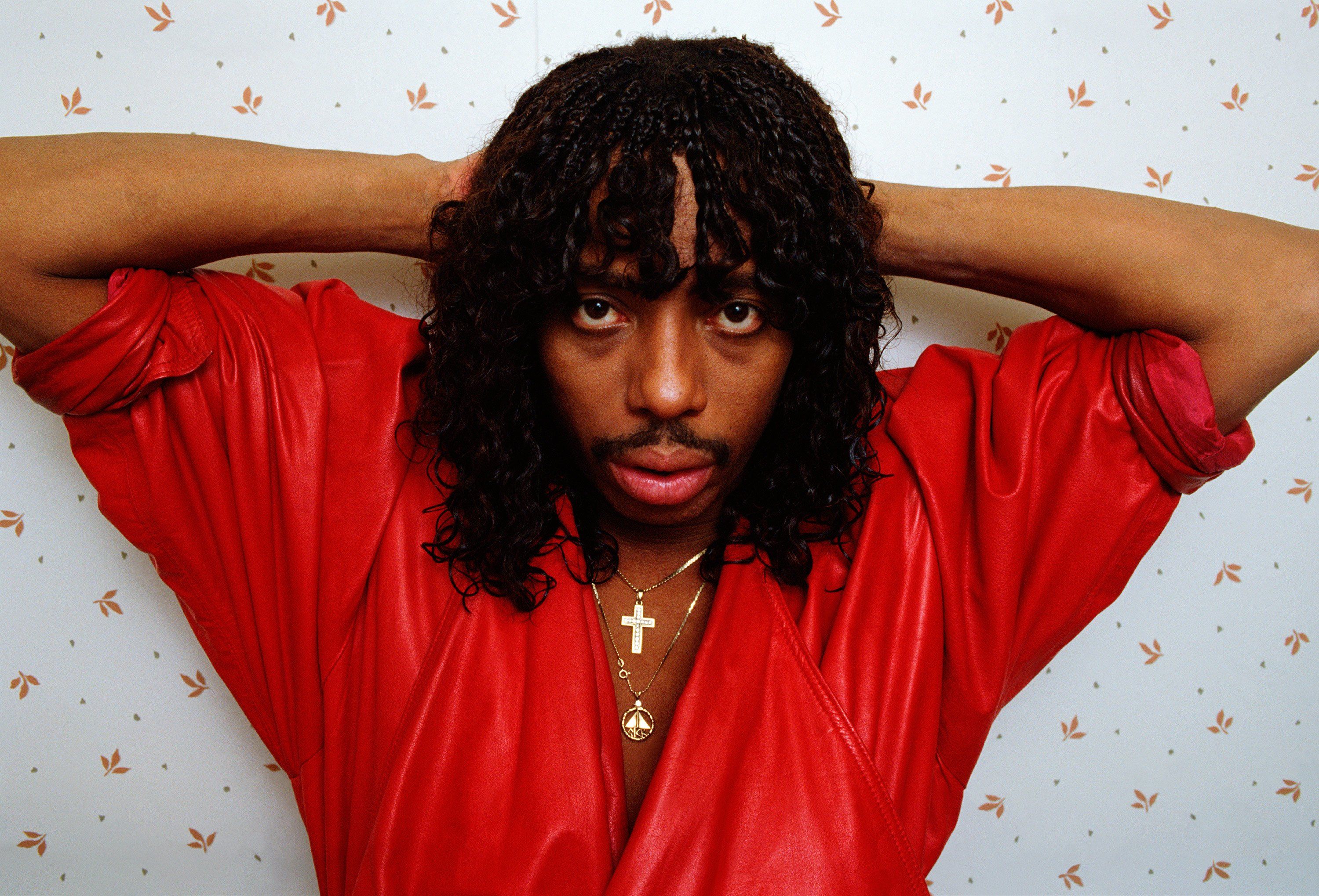 Tons of awesome Rick James wallpapers to download for free. 