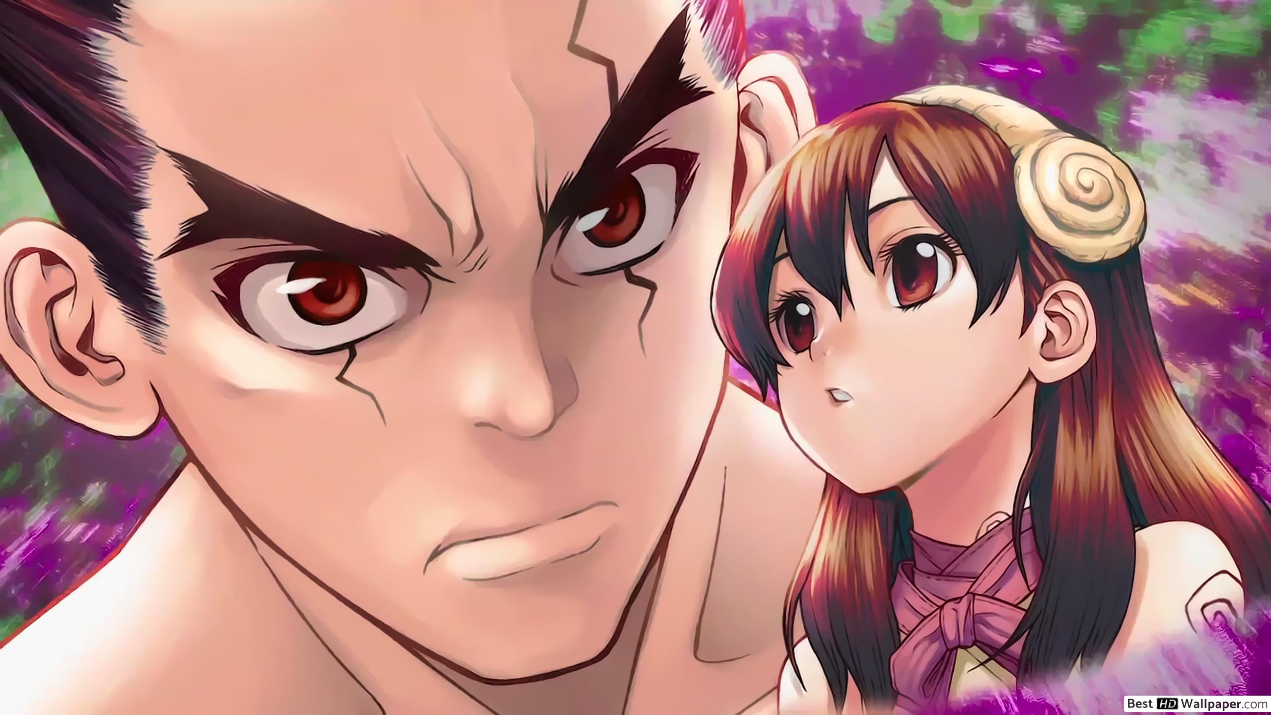 Dr. Stone Oki & Yuzuriha Ogawa HD wallpaper download