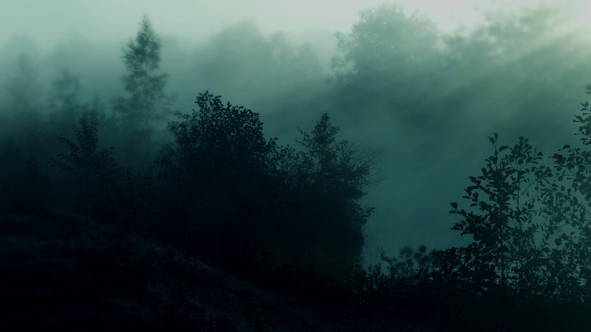 Green Aesthetic Wallpaper for Laptop Cute Wallpaper HD
