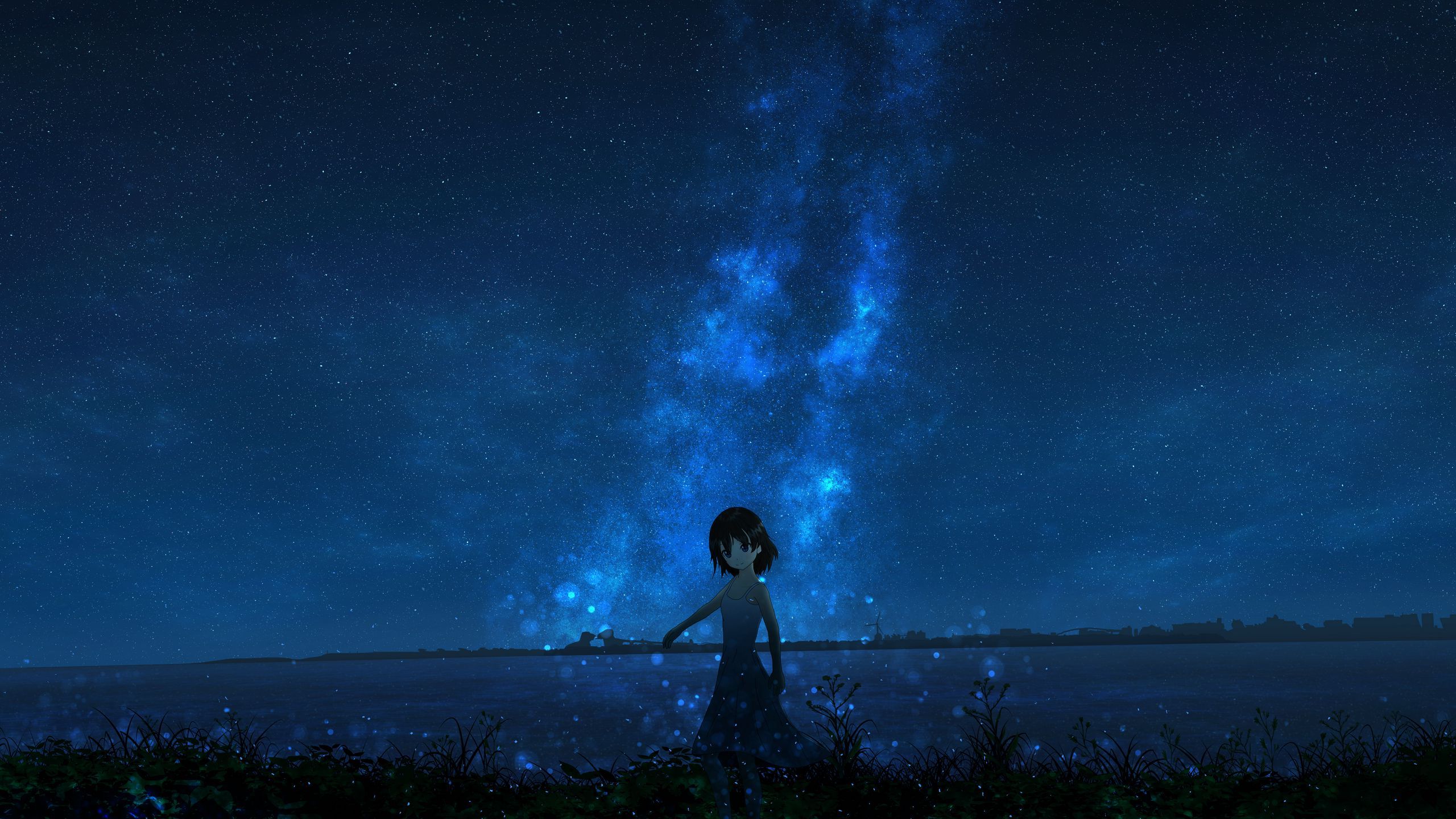Download wallpaper 2560x1440 girl, night, starry sky, anime widescreen 16:9 HD background