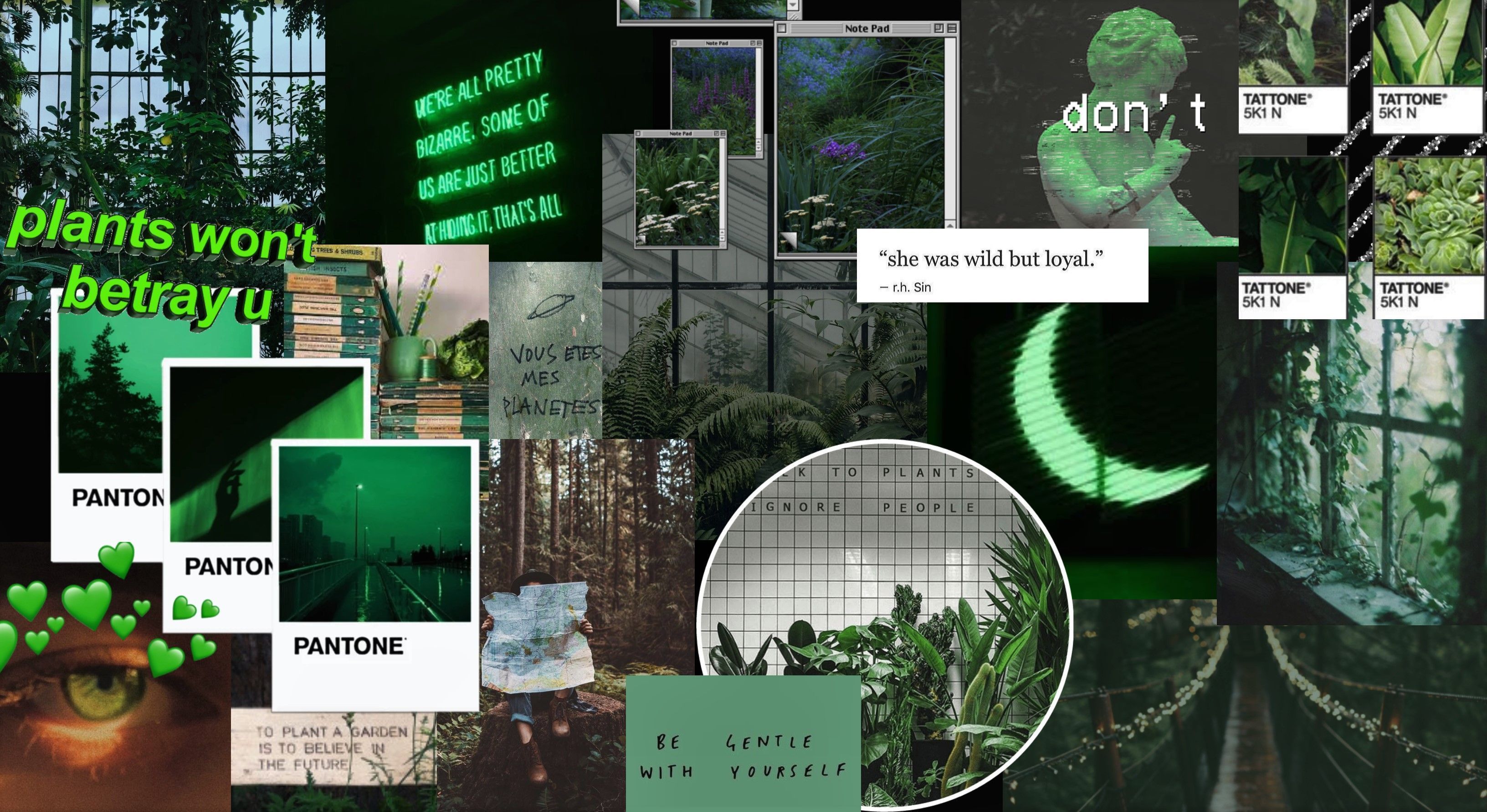 Black And Green Aesthetic Wallpaper