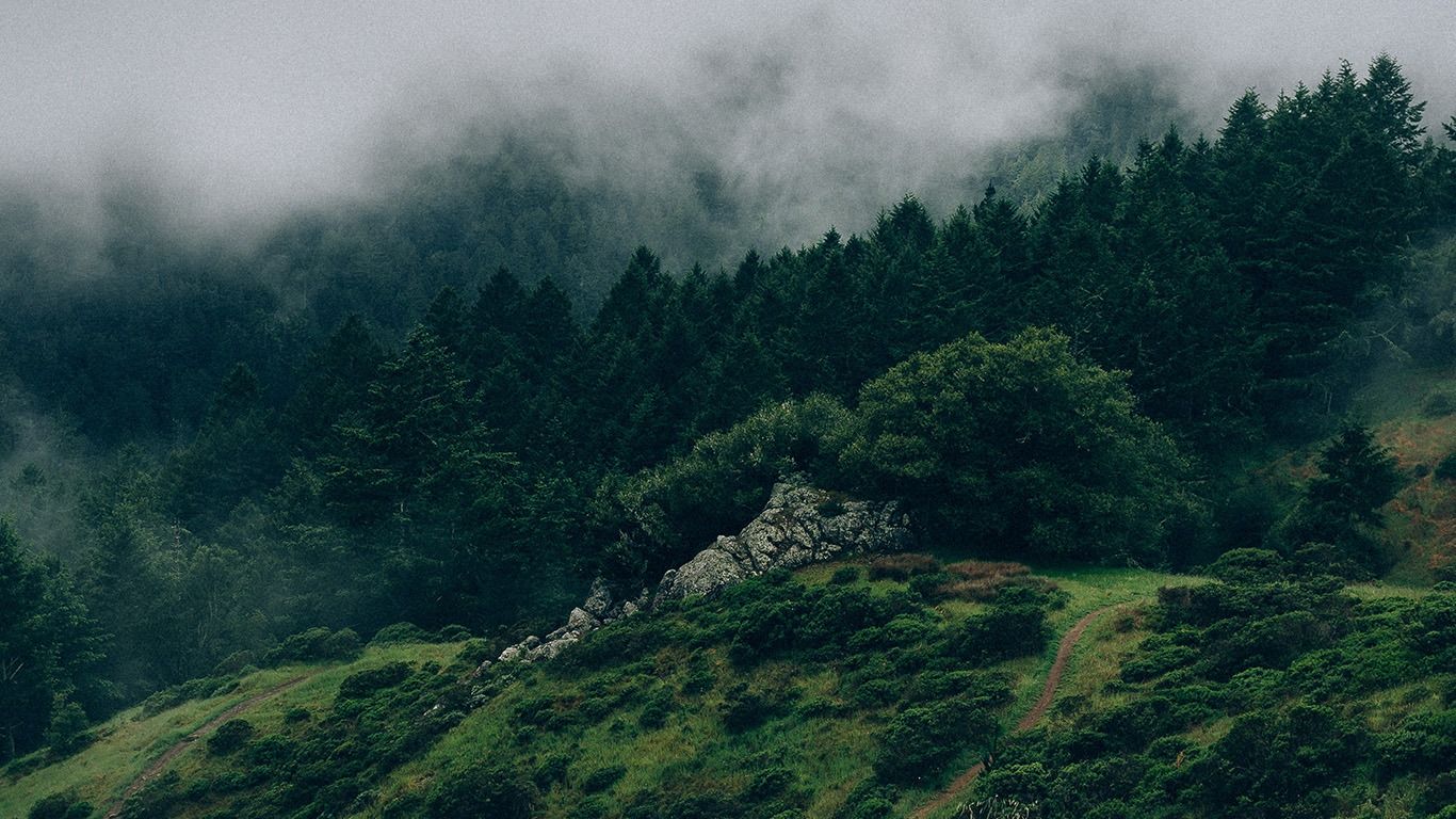 Nature Green Aesthetic Background