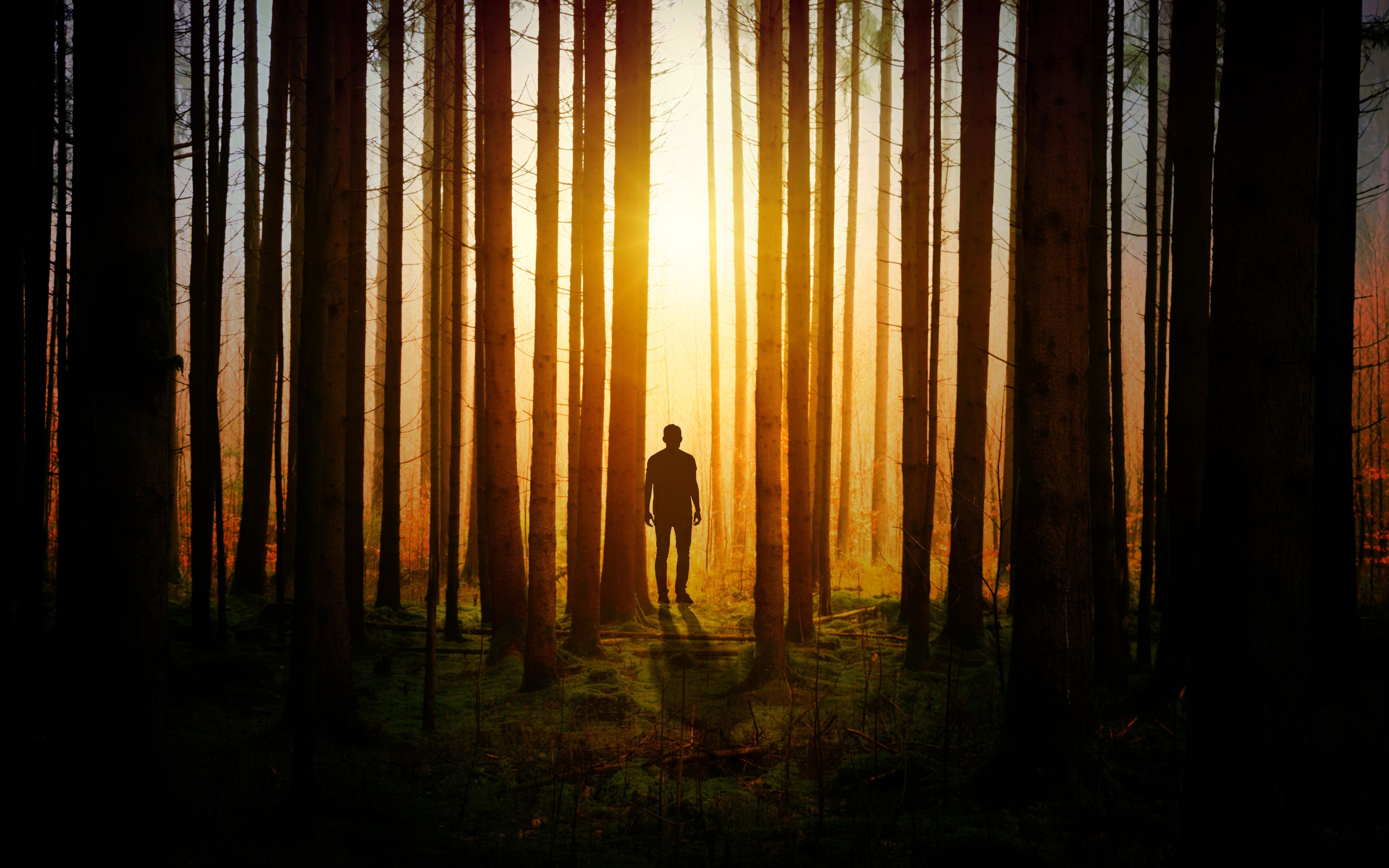 Alone In Forest Sunset 4k Sun And Person