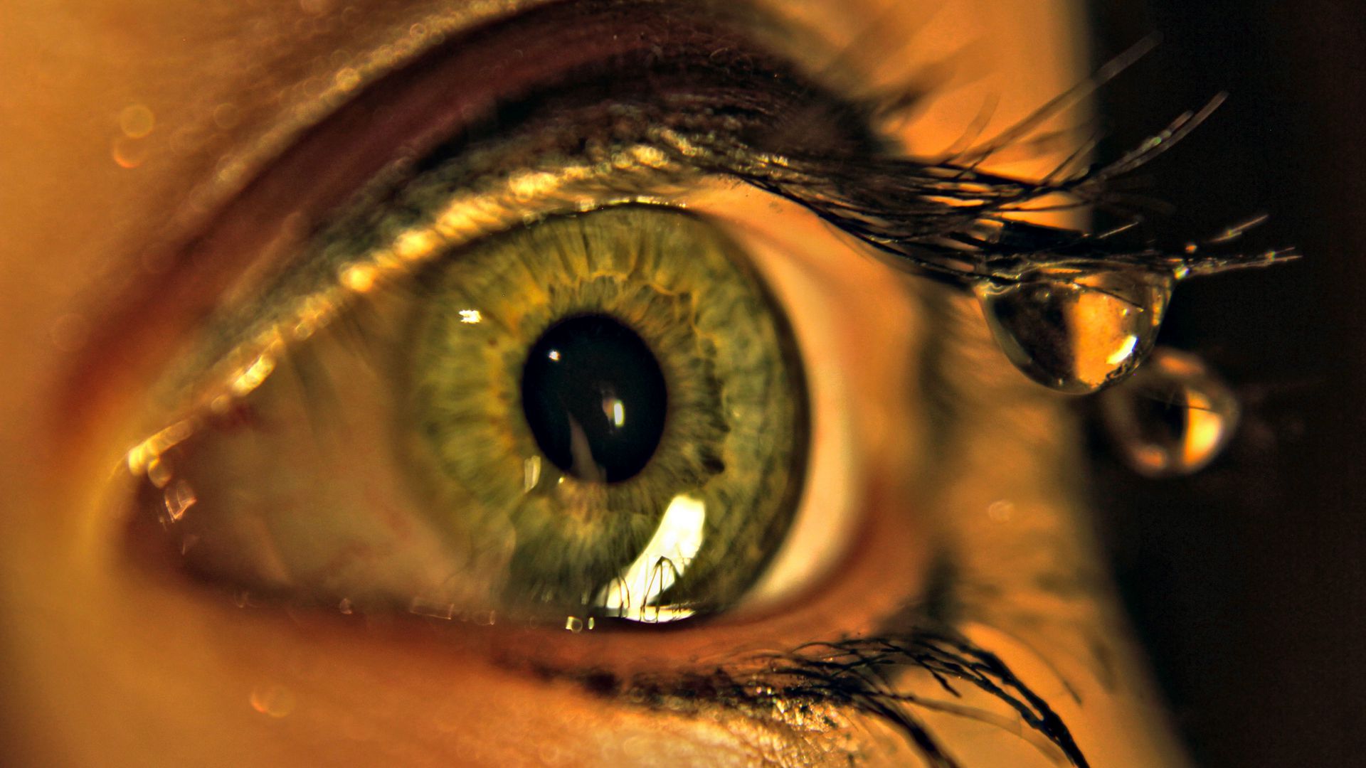 Download wallpaper 1920x1080 eye, drops, macro, eyelashes full hd, hdtv, fhd, 1080p HD background