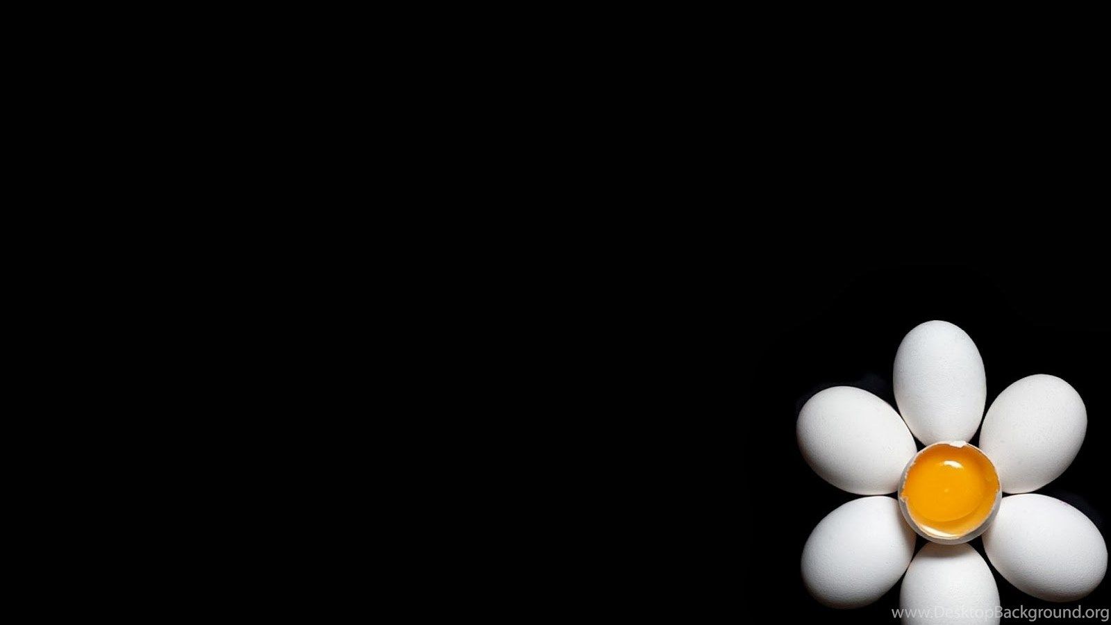 Wallpaper Egg Like Flowers Food Wallpaper Black Background HD Desktop Background