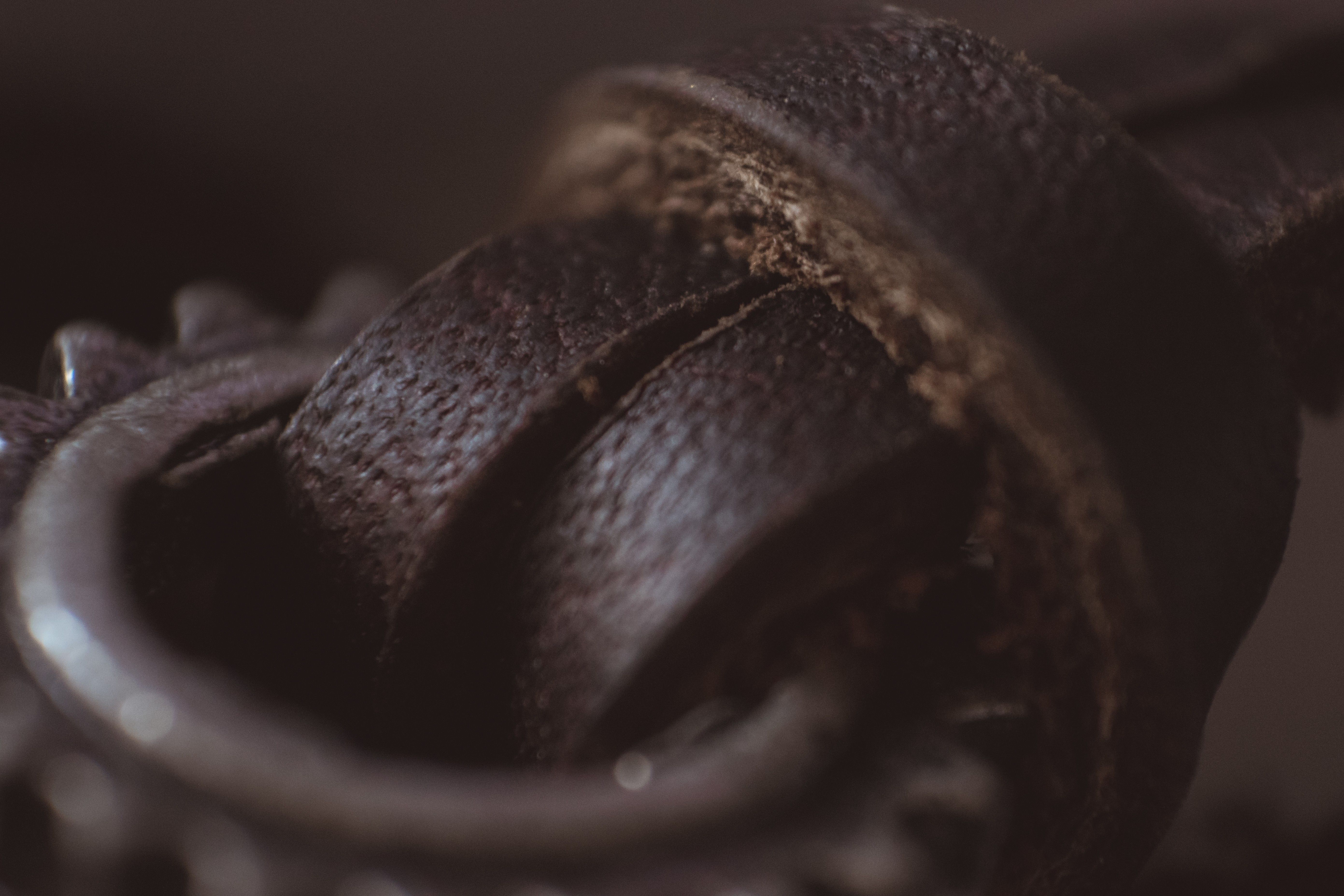Wallpaper, black, food, red, necklace, gears, dessert, chocolate cake, eye, close up, macro photography, flavor 5565x3710