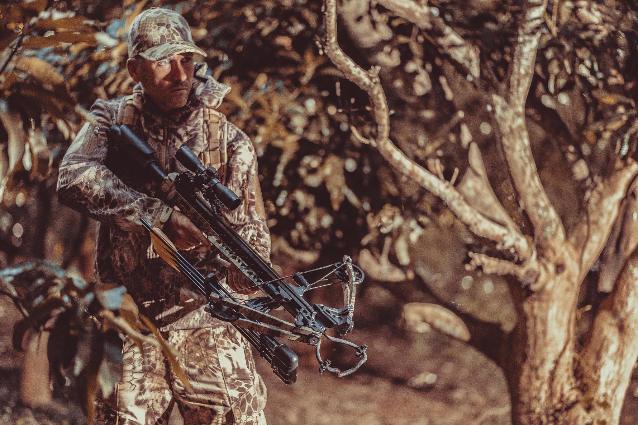 The Benefits of Crossbow Hunting