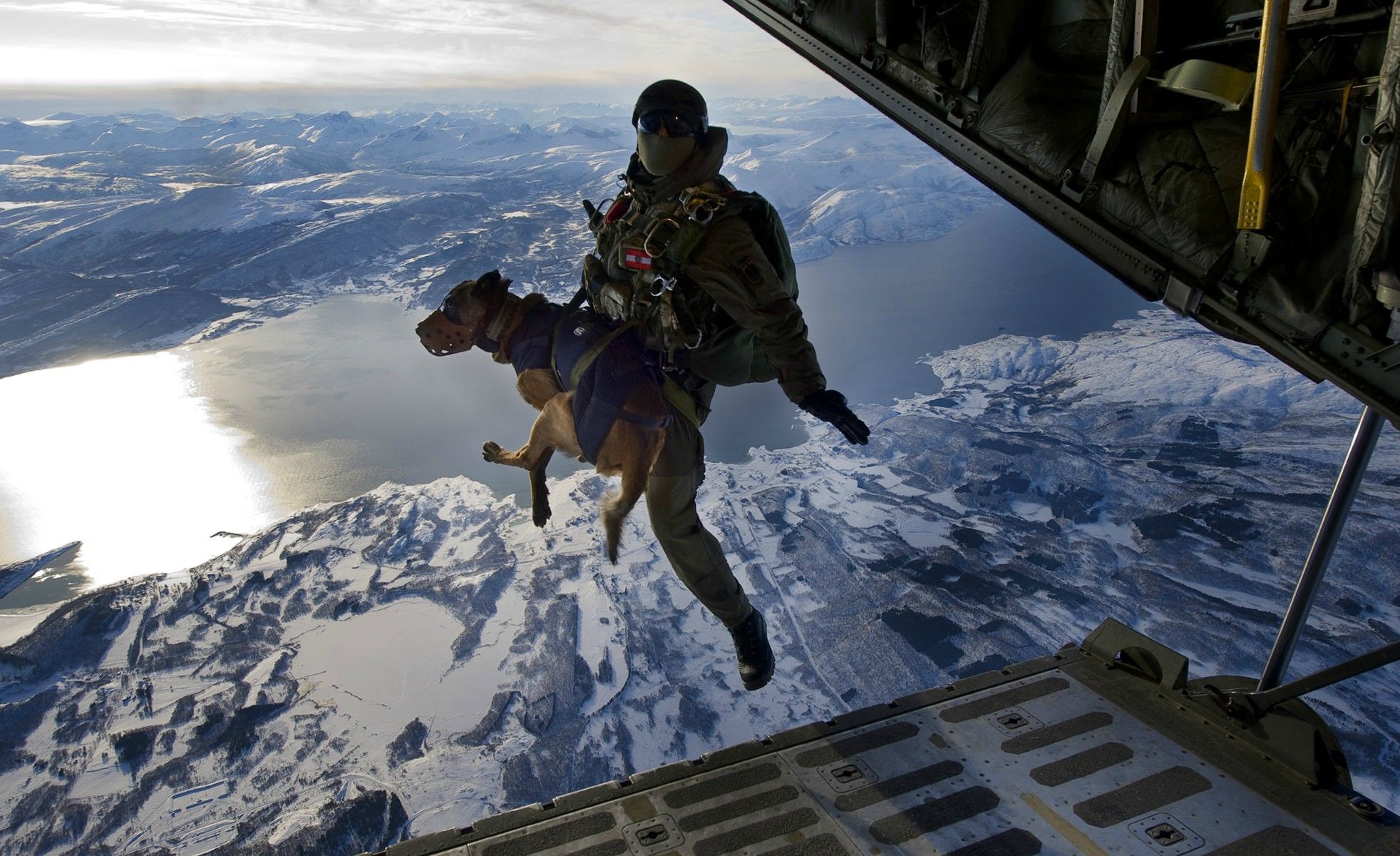 Austrian Dog Paratroopers