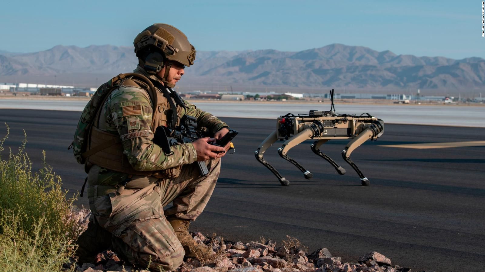 Robot dogs join US Air Force exercise