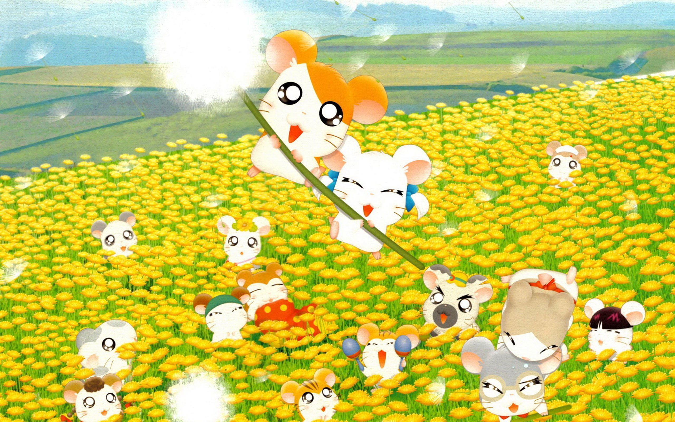 Hamtaro Wallpaper
