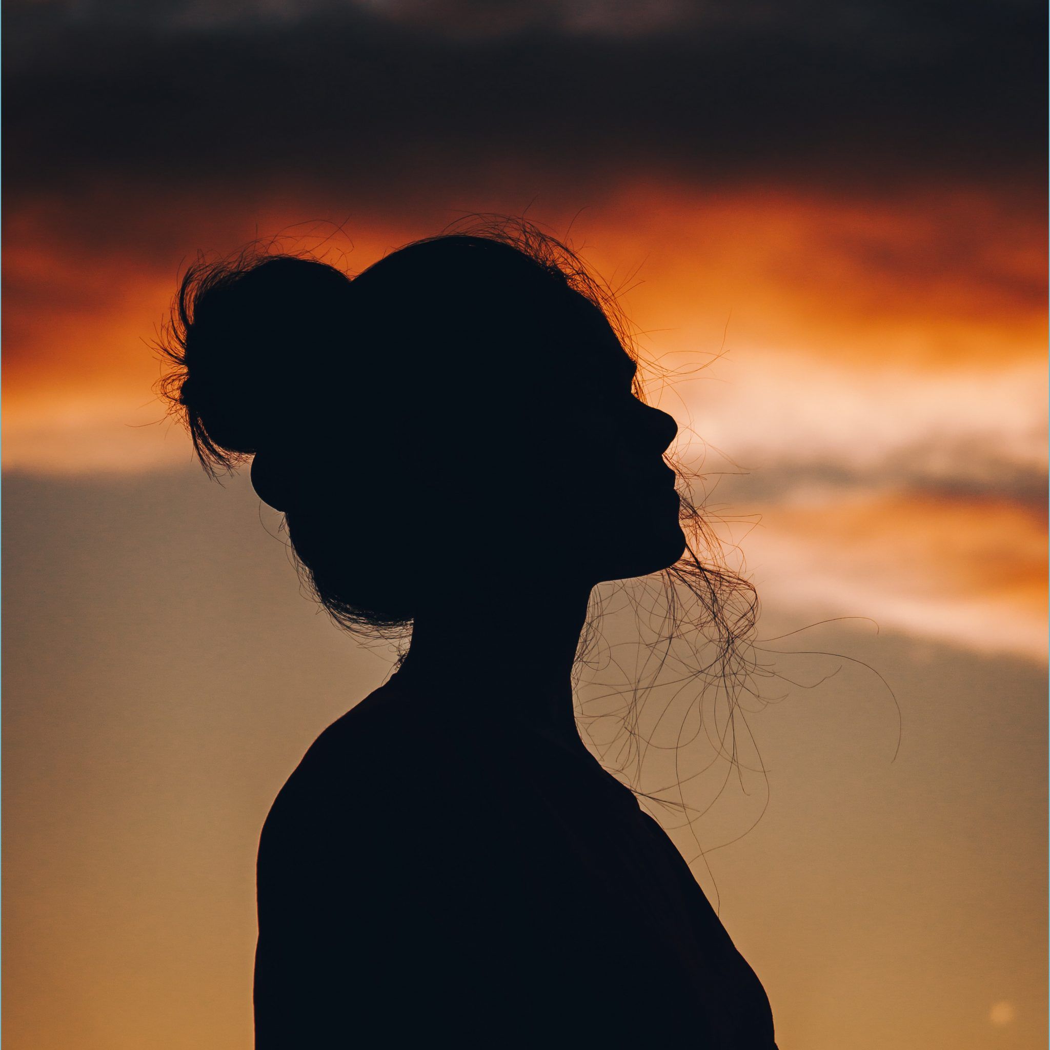 Silhouette Picture [HD] Download Free Image Shadow Wallpaper