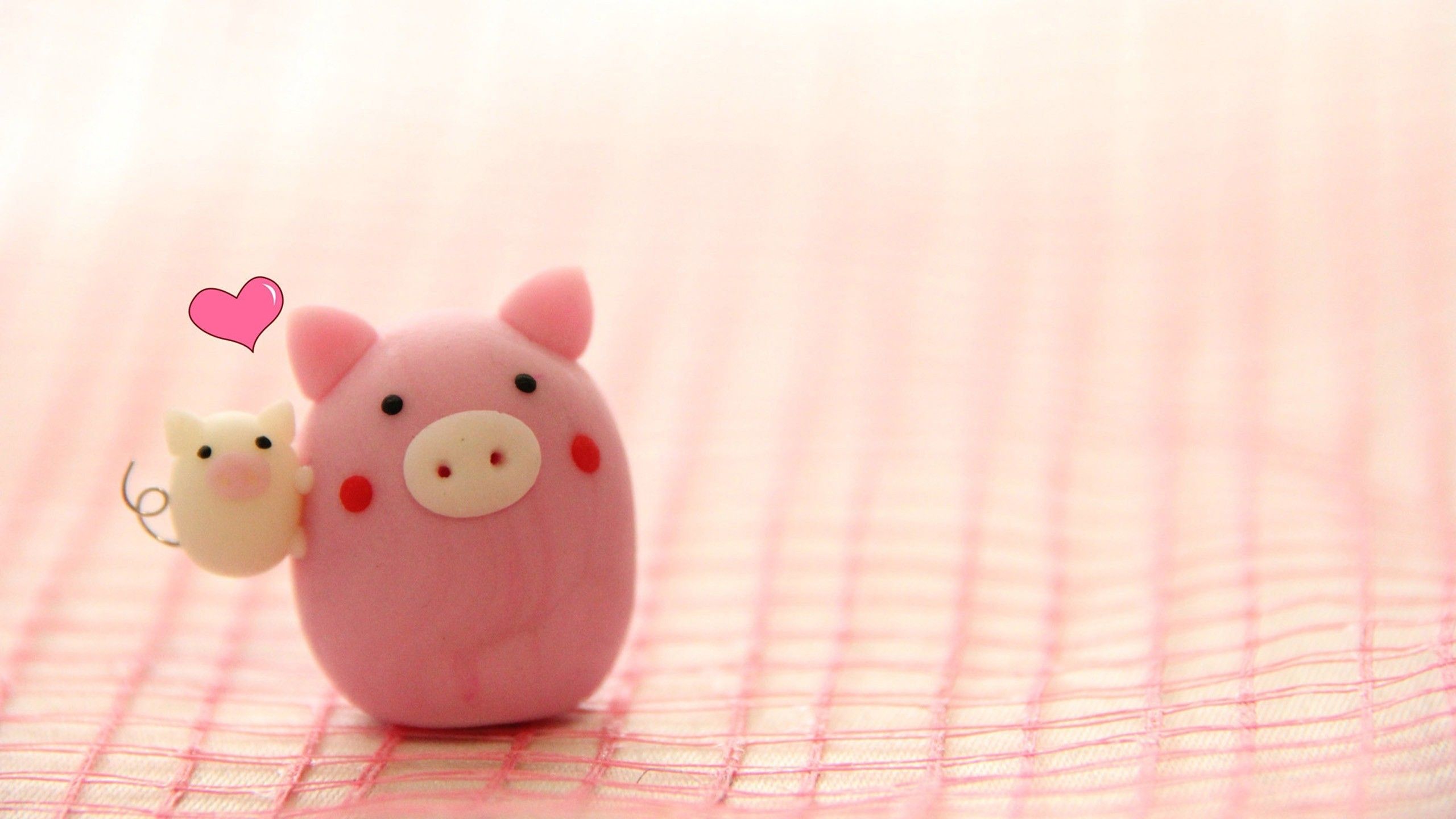 iPhone Cute Pig Pig Wallpaper