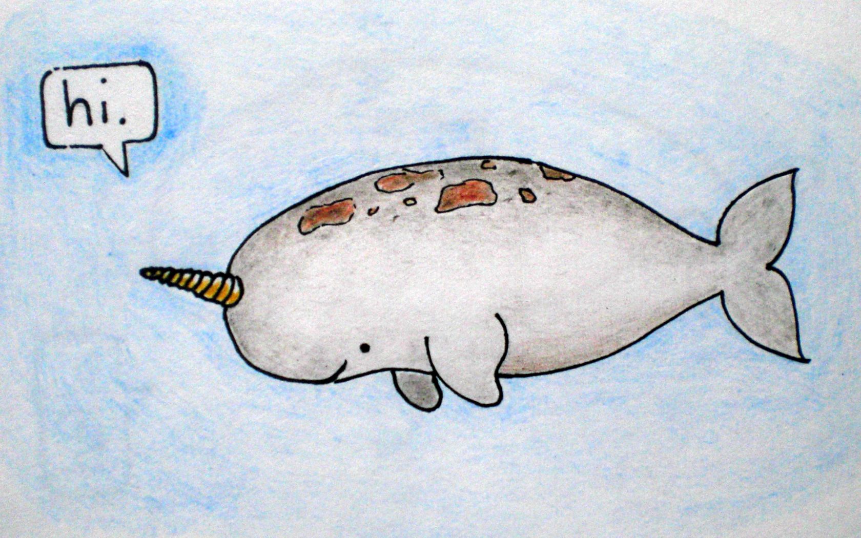 Free download Narwhal Wallpaper 2900x1788 ID29803 WallpaperVortexcom [2900x1788] for your Desktop, Mobile & Tablet. Explore Narwhal Wallpaper. Cute Narwhal Wallpaper