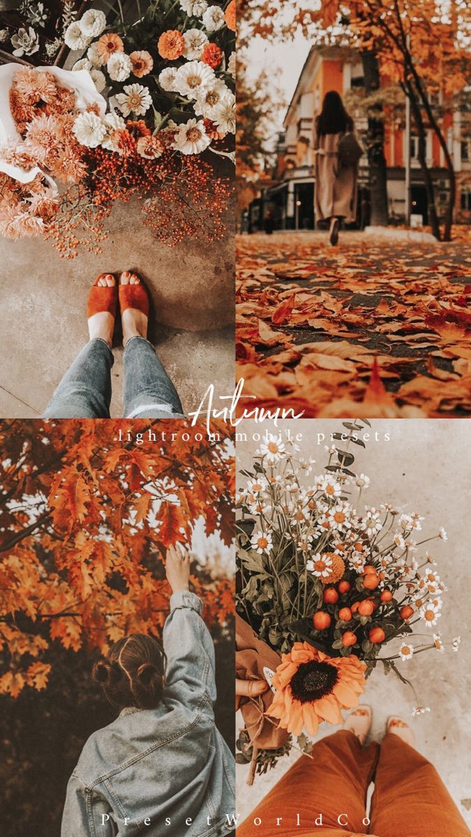 Autumn Moodboards Wallpapers - Wallpaper Cave