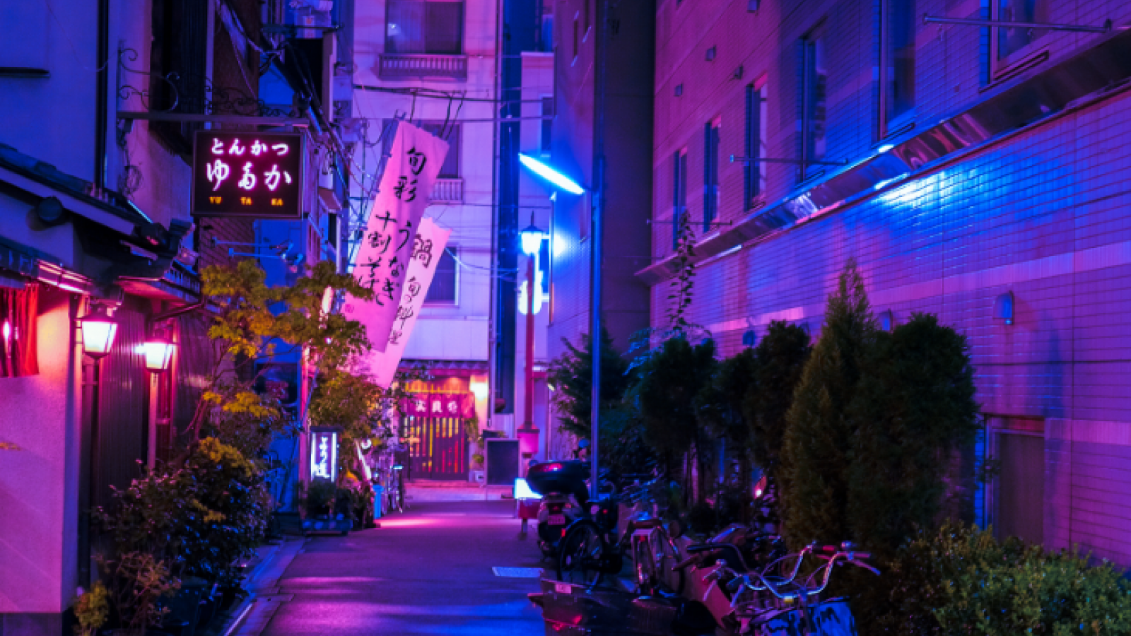 Osore Ichi Kagetsu, Lightroom Cc Presets Inspired By Lightroom Presets Free