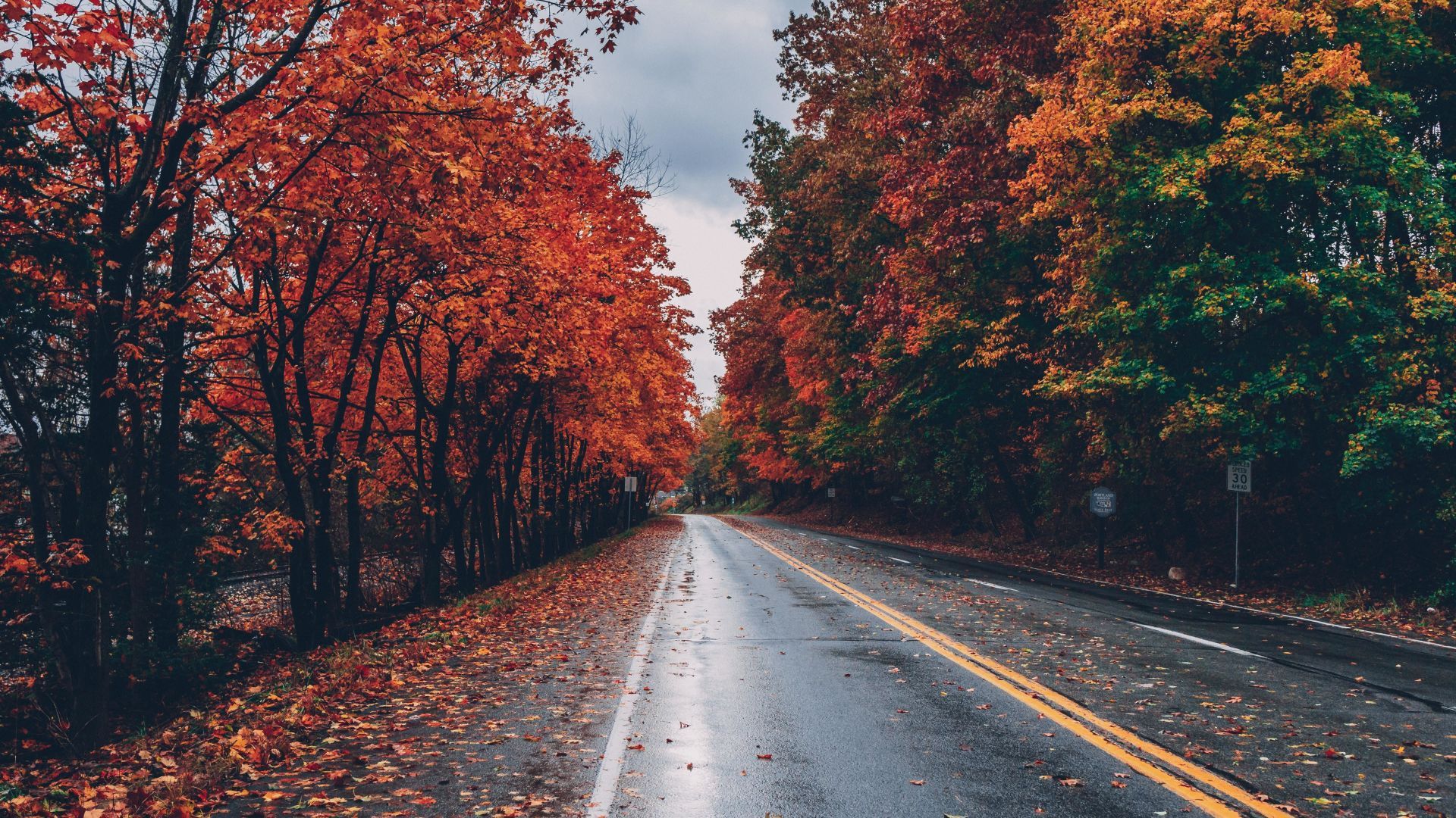 Desktop wallpaper road, autumn, tree, highway, HD image, picture, background, 63D620