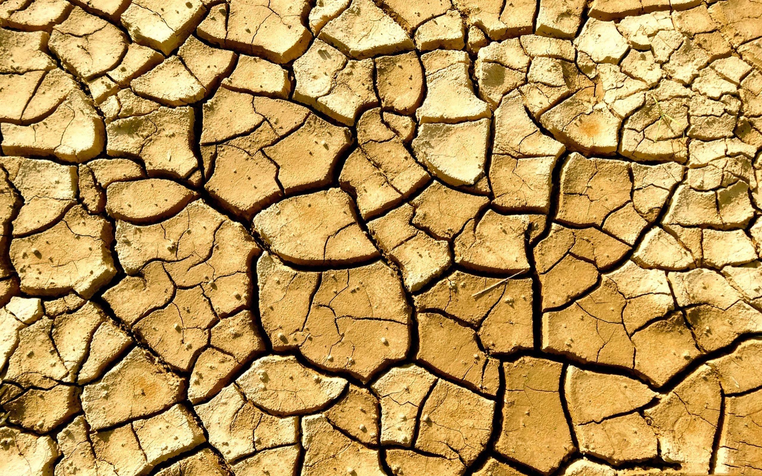 Dry, cracked ground HD Wallpaper