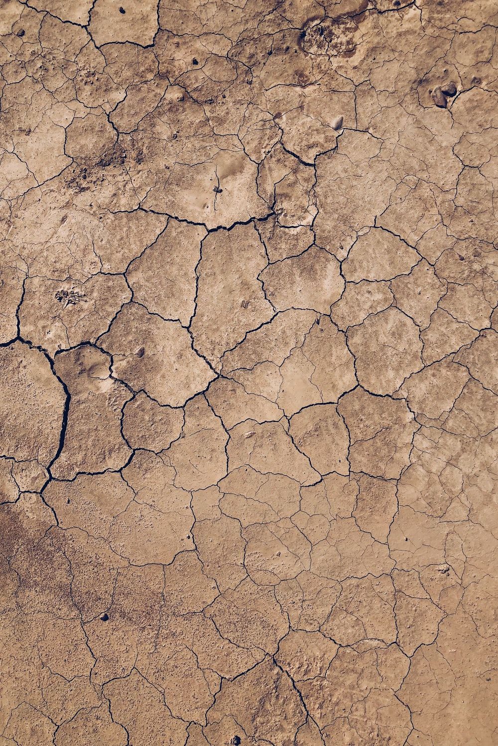 Drought Picture. Download Free Image