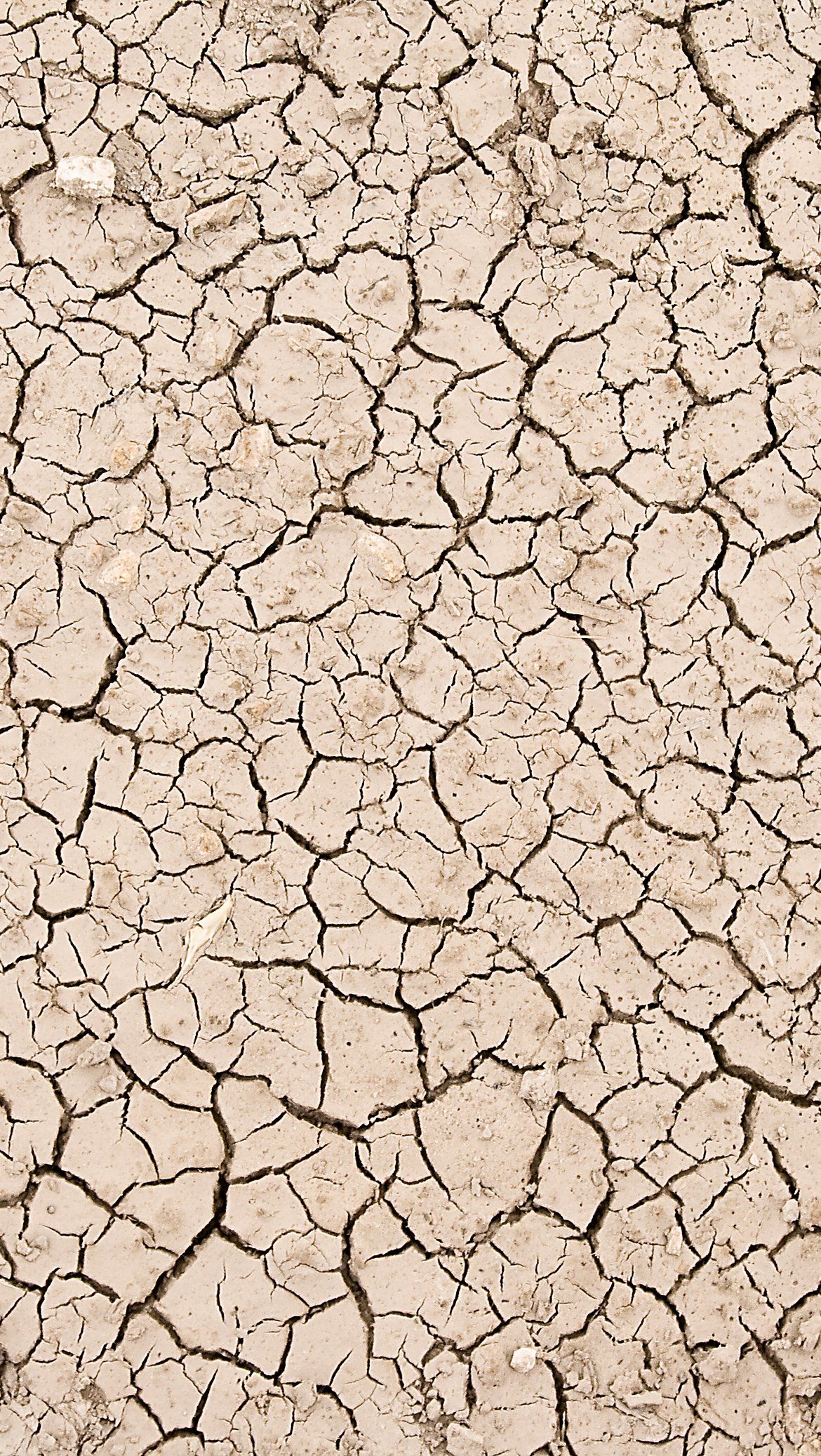 Dry earth texture Wallpaper