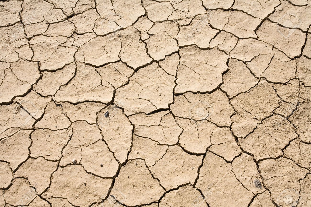 Free download Dry Mud Cracked Desert Ground Abstract Background PatternDeath [1300x866] for your Desktop, Mobile & Tablet. Explore Dry Background. Dry Background, Dry Strippable Wallpaper, How to Dry Strip Wallpaper