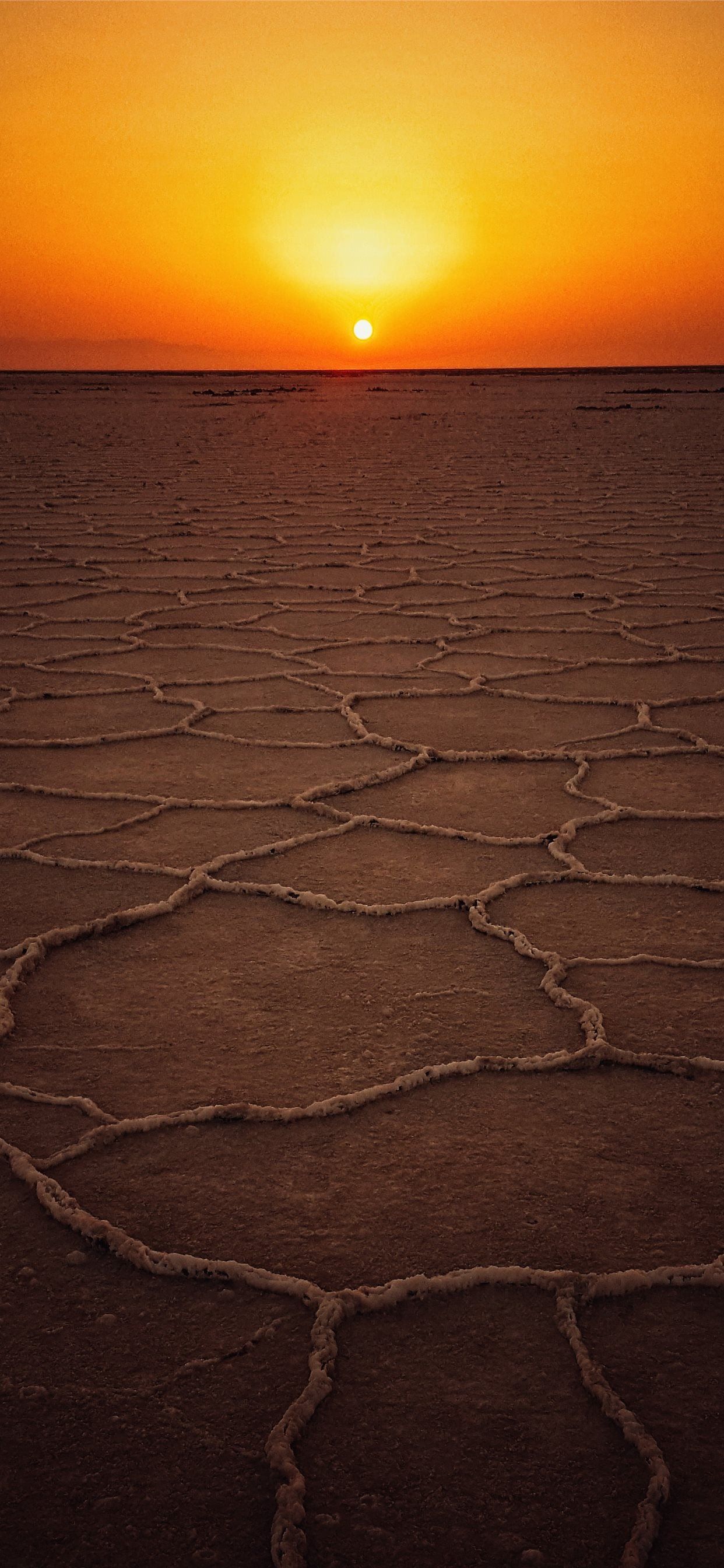 dried land at golden hour iPhone X Wallpaper Free Download