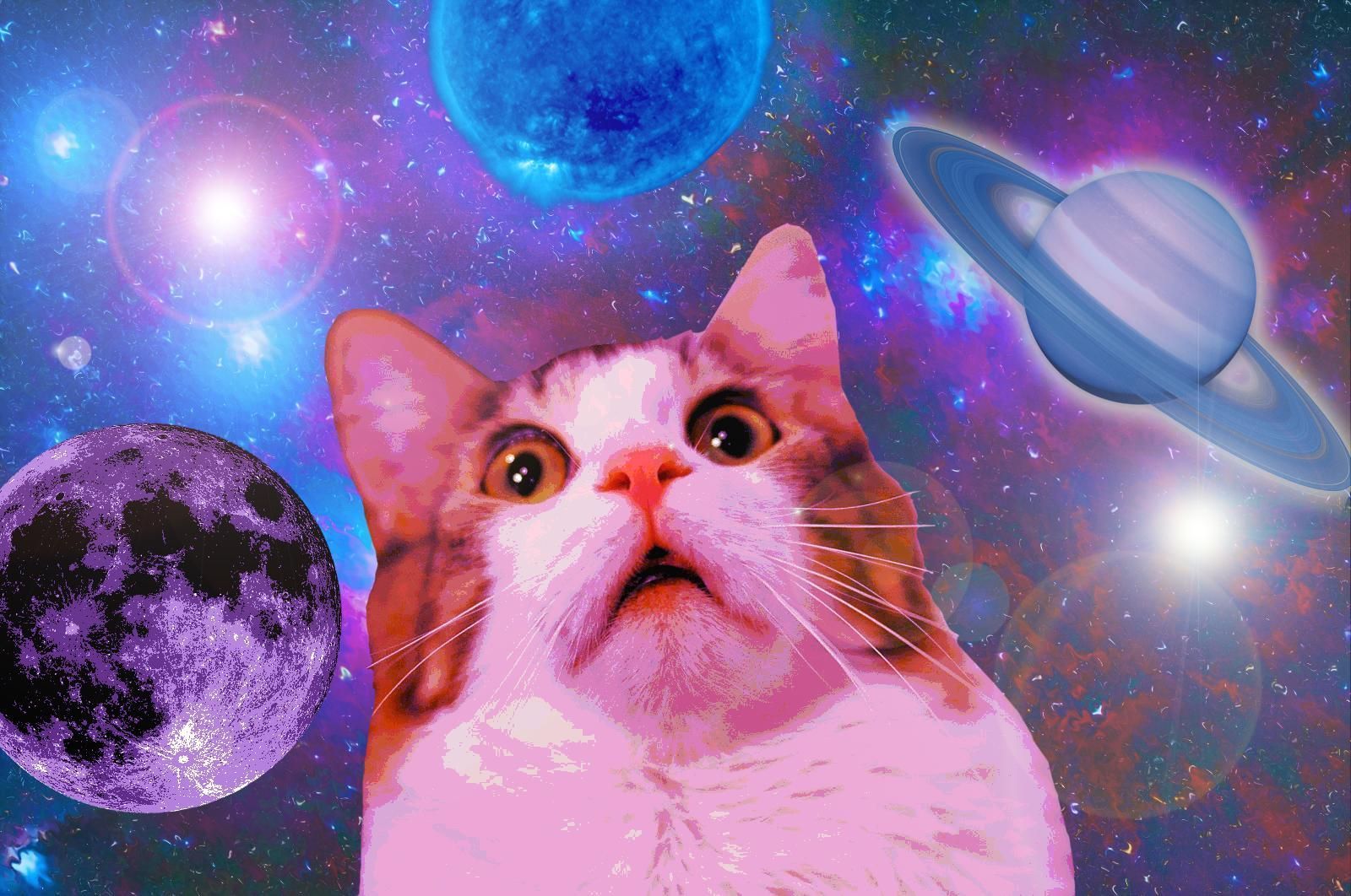 Cats in Space Wallpaper