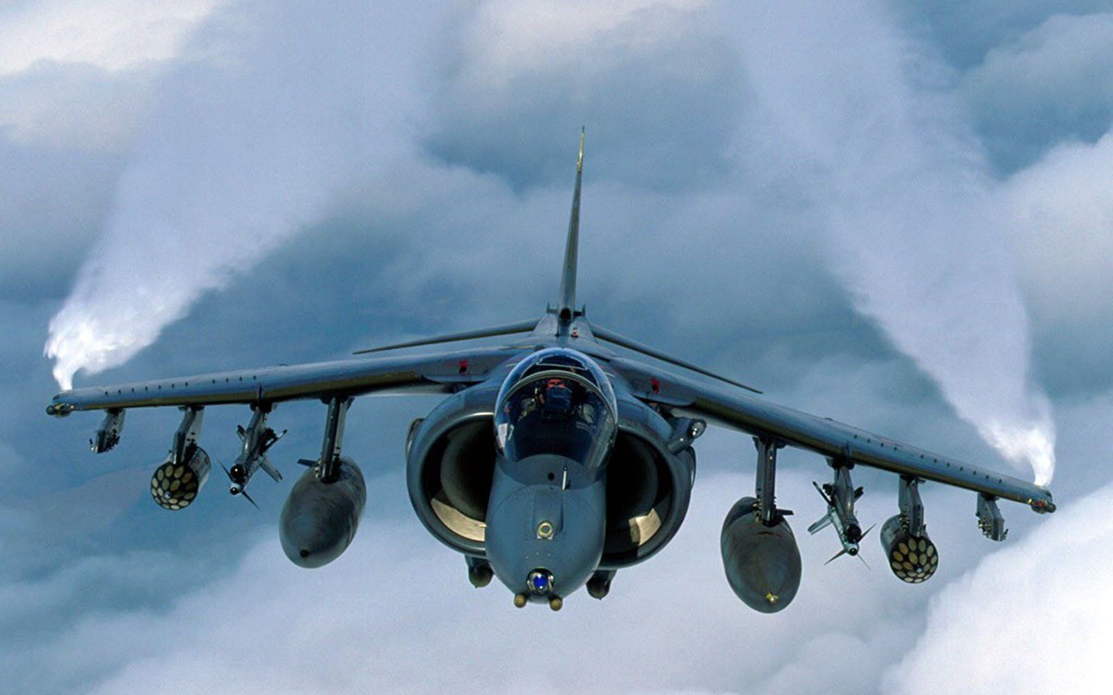 Harrier Wallpaper