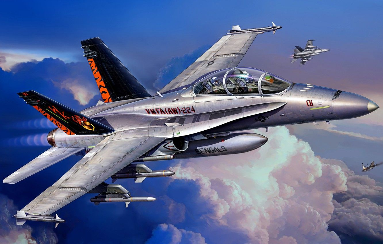 Wallpaper Attack, McDonnell Douglas, F A 18D, American Carrier Based Fighter Bomber, Hornet Wild Weasel, Double Combat Trainer Version Of The F A 18C Image For Desktop, Section авиация