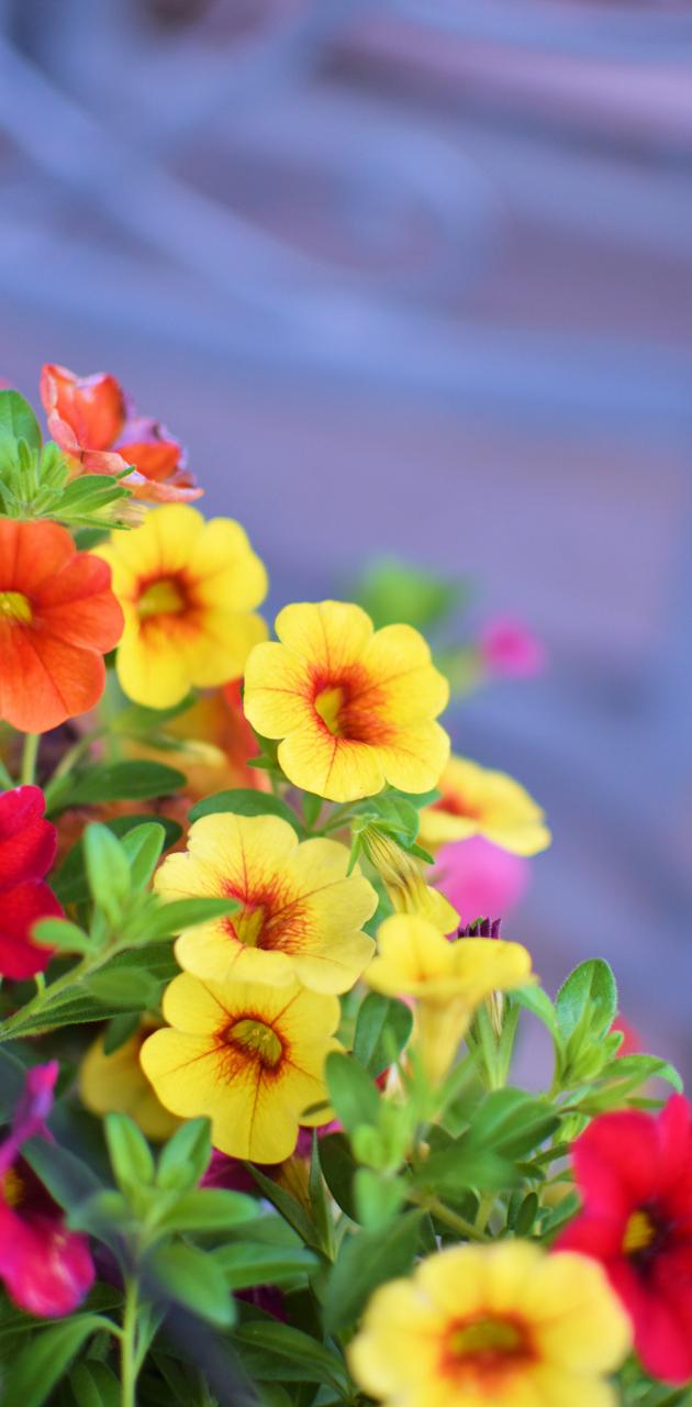 Fsb.zobj.net Crop.php?r=O8YFQjgTJkdyDREILDB7b09JFT