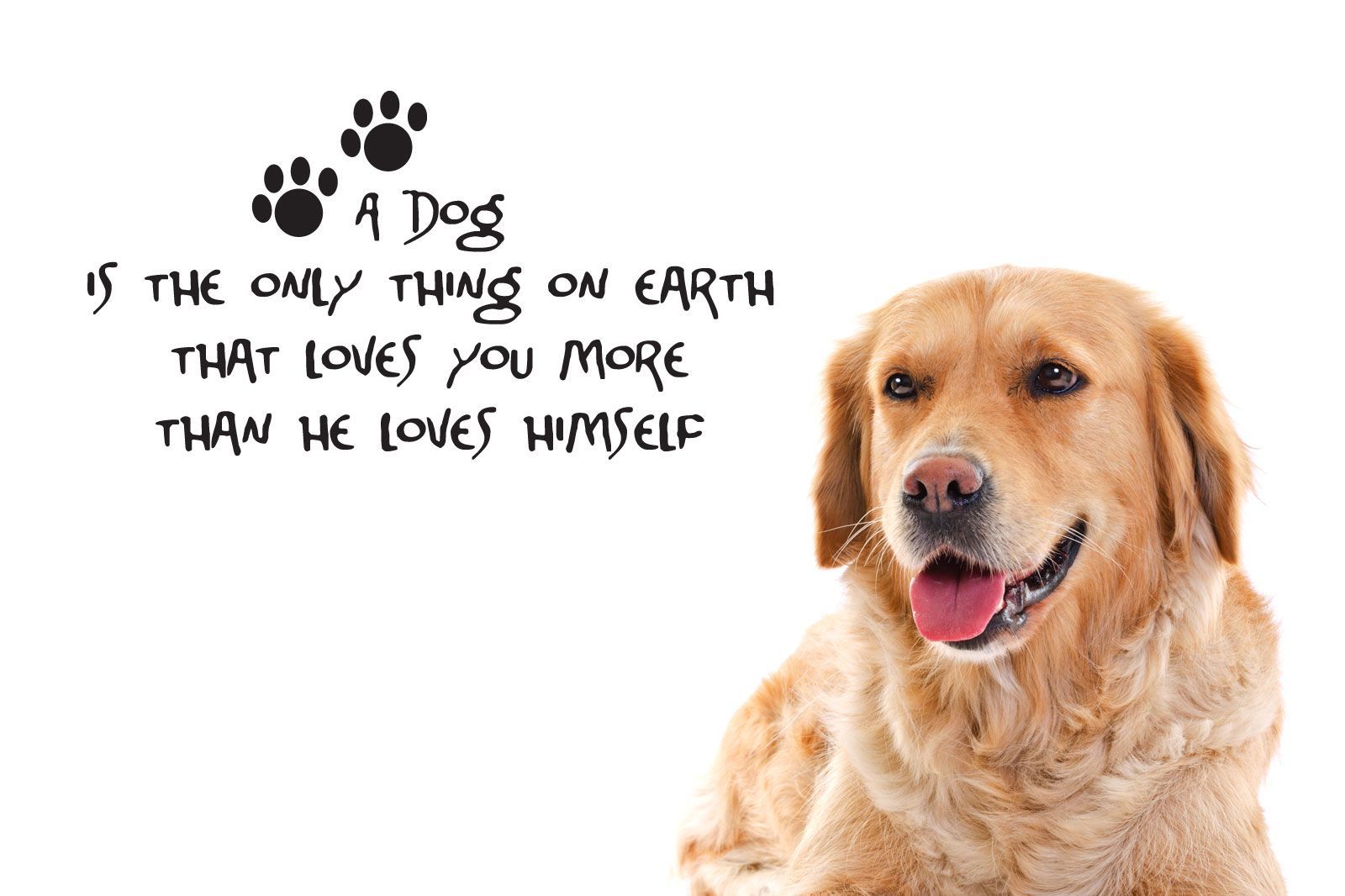 Elegant Dog Love Quotes and Sayings. Love quotes collection within HD image