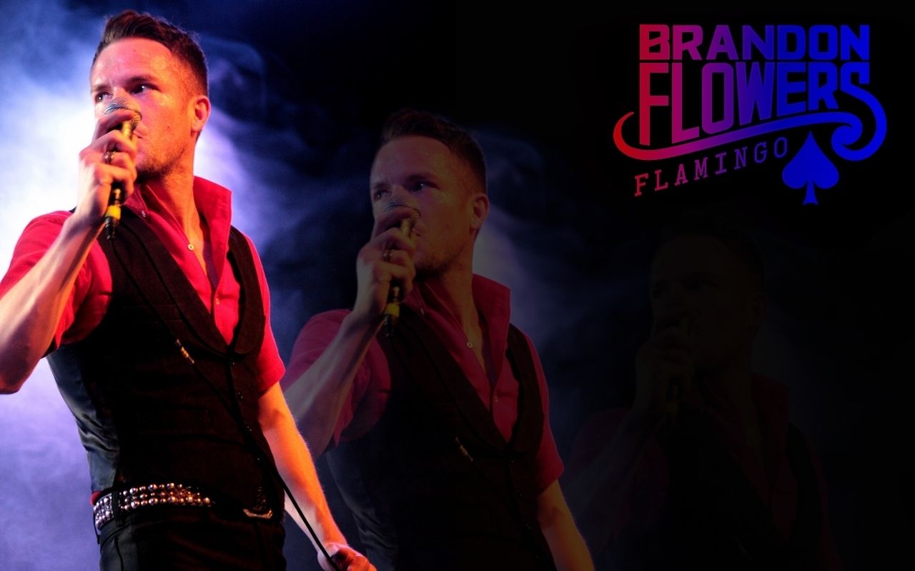 Free download Brandon Flowers image Flamingo wallpaper HD wallpaper and [1280x800] for your Desktop, Mobile & Tablet. Explore Brandon Wallpaper. Brandon Wallpaper, Brandon Lee Wallpaper, Wallpaper Brandon FL
