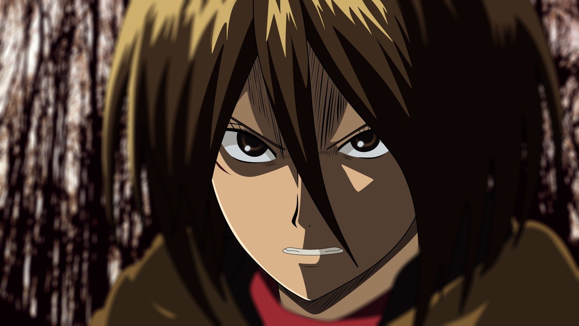 Titan Mikasa Ackerman On Closeup 4K HD Anime Wallpaper