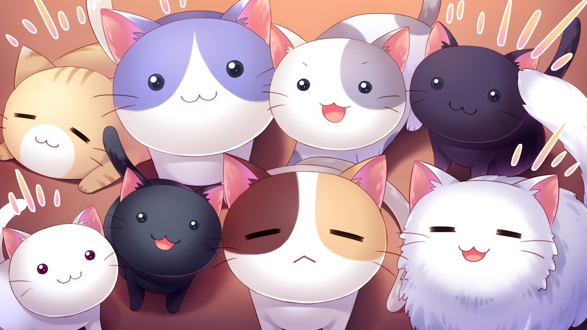 Anime 2048x1152 cat Nyan Cafe Macchiato visual novel. Cute anime cat, Kawaii cat wallpaper, Cute cat wallpaper