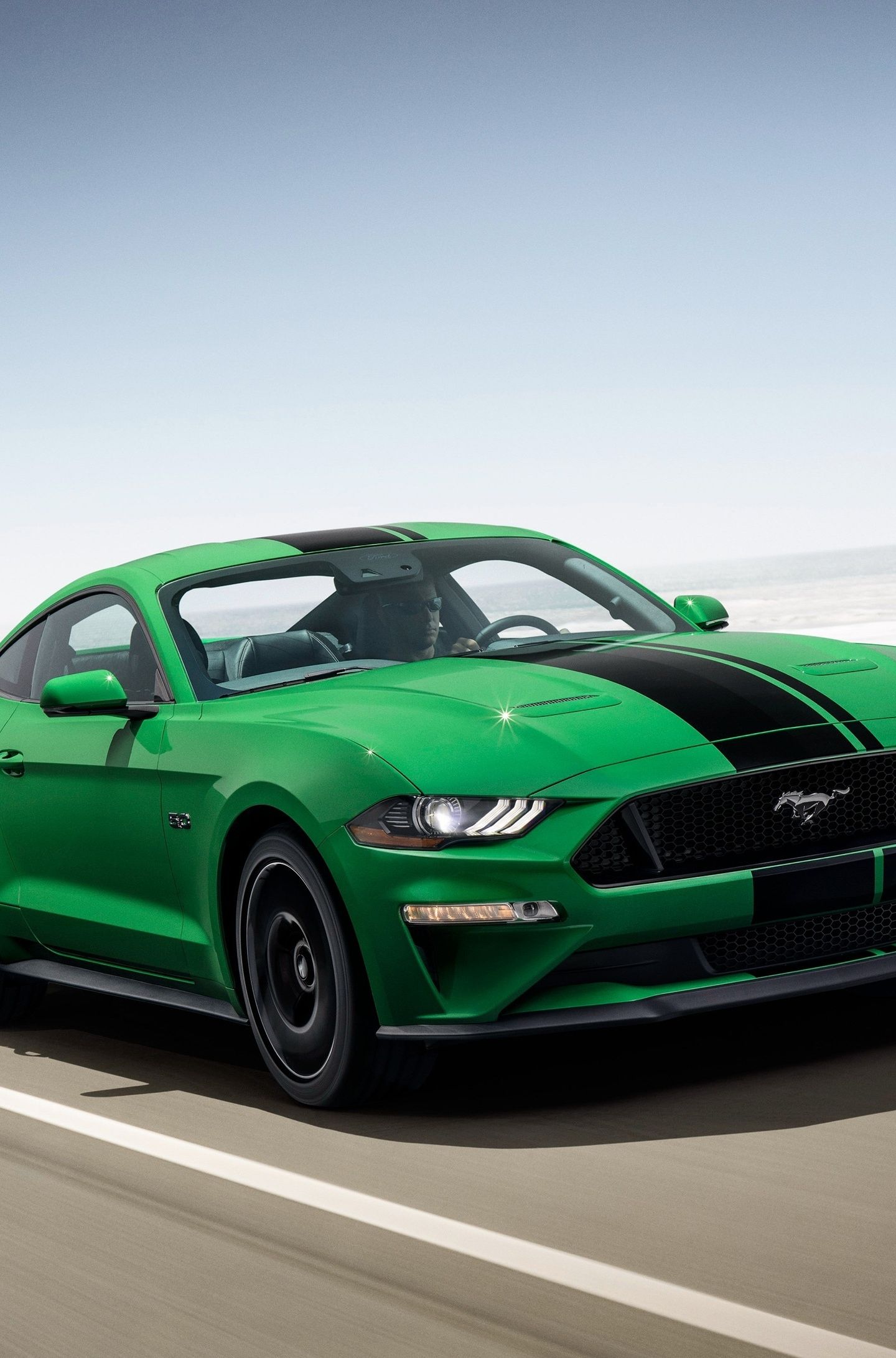 Ford Mustang Gt Fastback, Green Car, Wallpaper Mustang Green