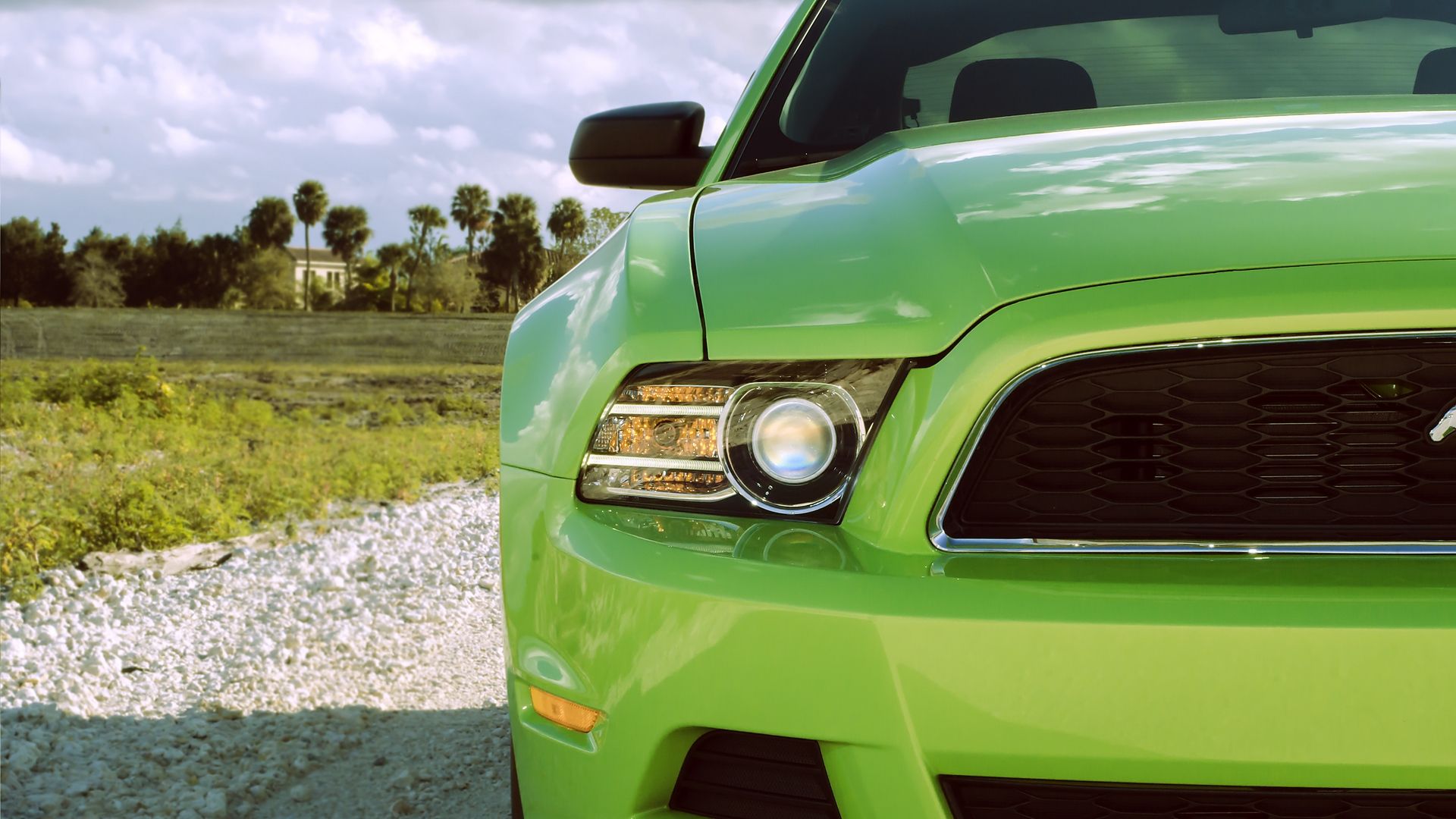 Wallpaper Ford Mustang, Headlight, Green, Front View, HD Cars Wallpaper 1080p