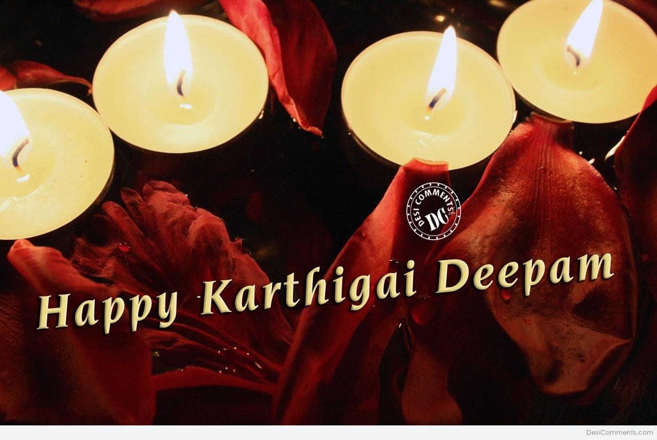 Karthigai Deepam Picture, Image, Photo