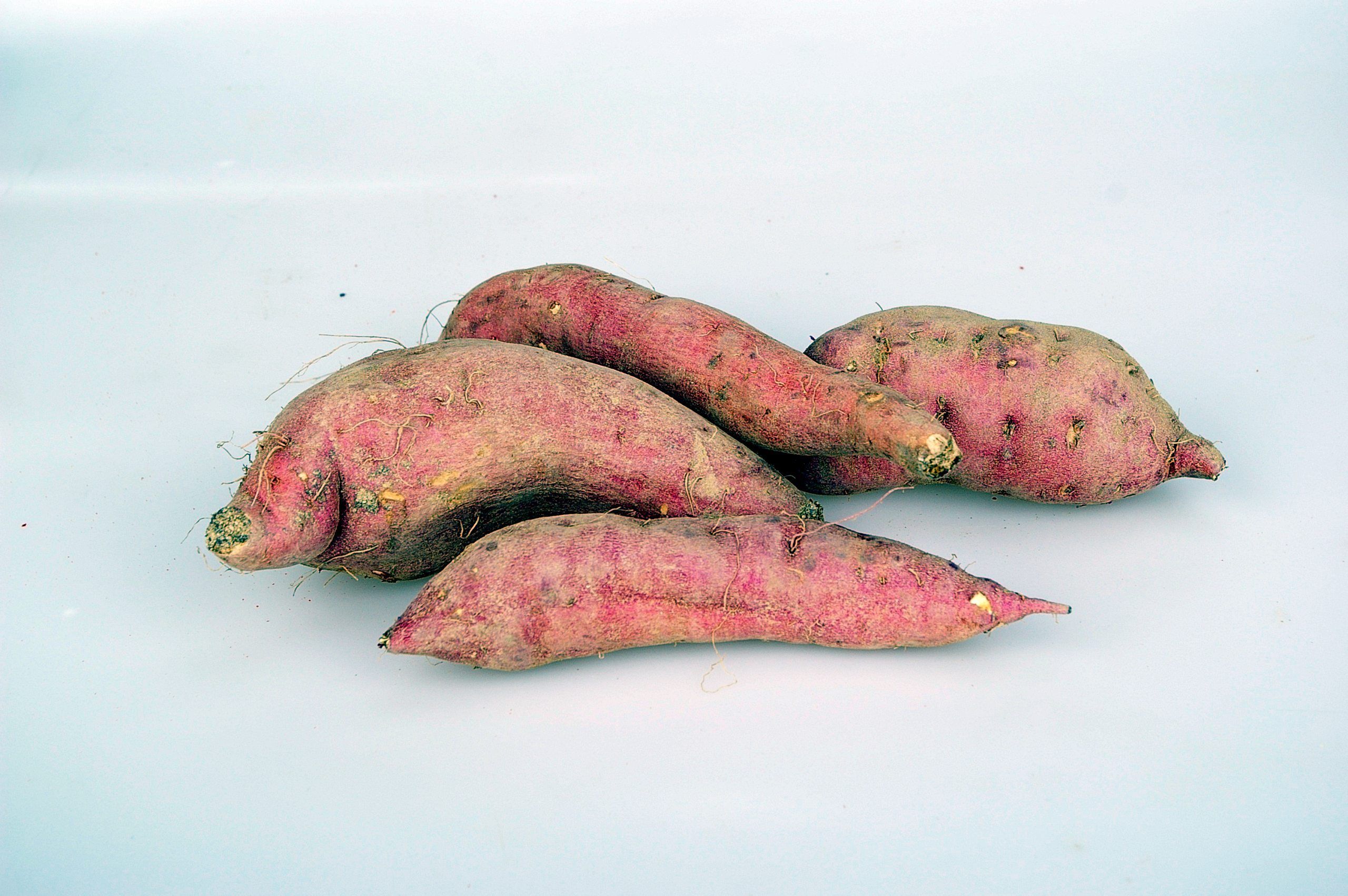 Sweet Potato Image for Free Download