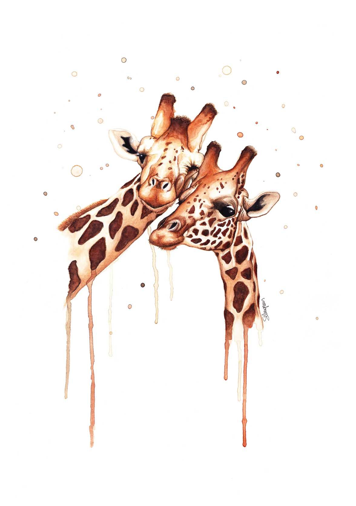 illustration #ilustración #acuarela #watercolor Jirafes, il·lustració a acuarel·la. Ilustración Jirafas. Autor Si. Animal wallpaper, Giraffe art, Cute drawings