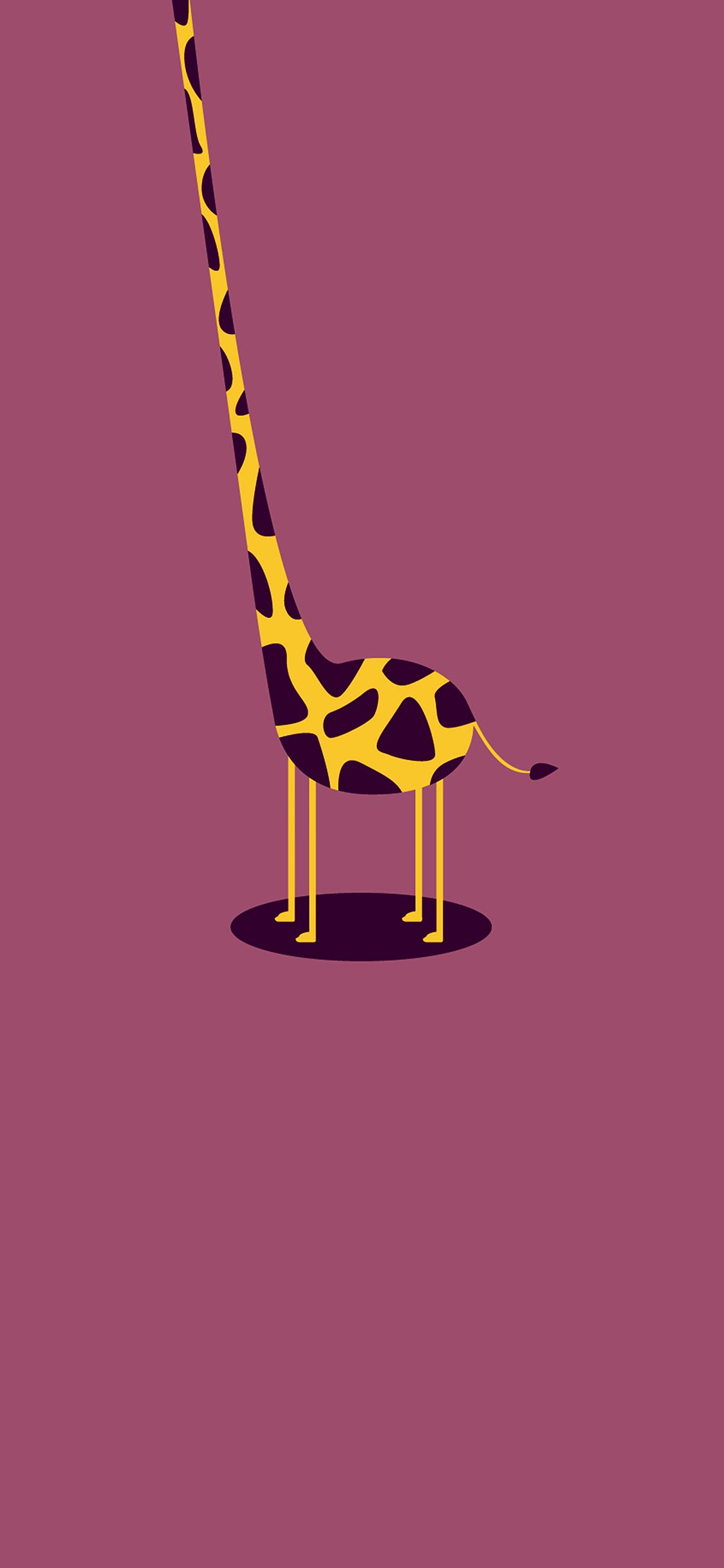 Giraffe Picture Cute